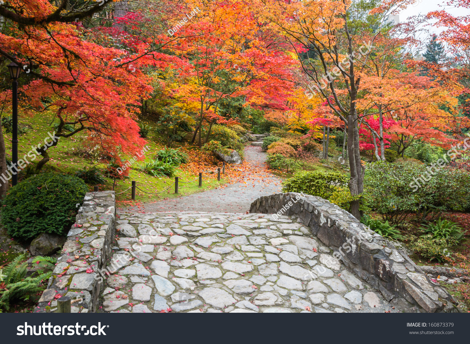 1,393 Seattle fall season colors Images, Stock Photos & Vectors ...