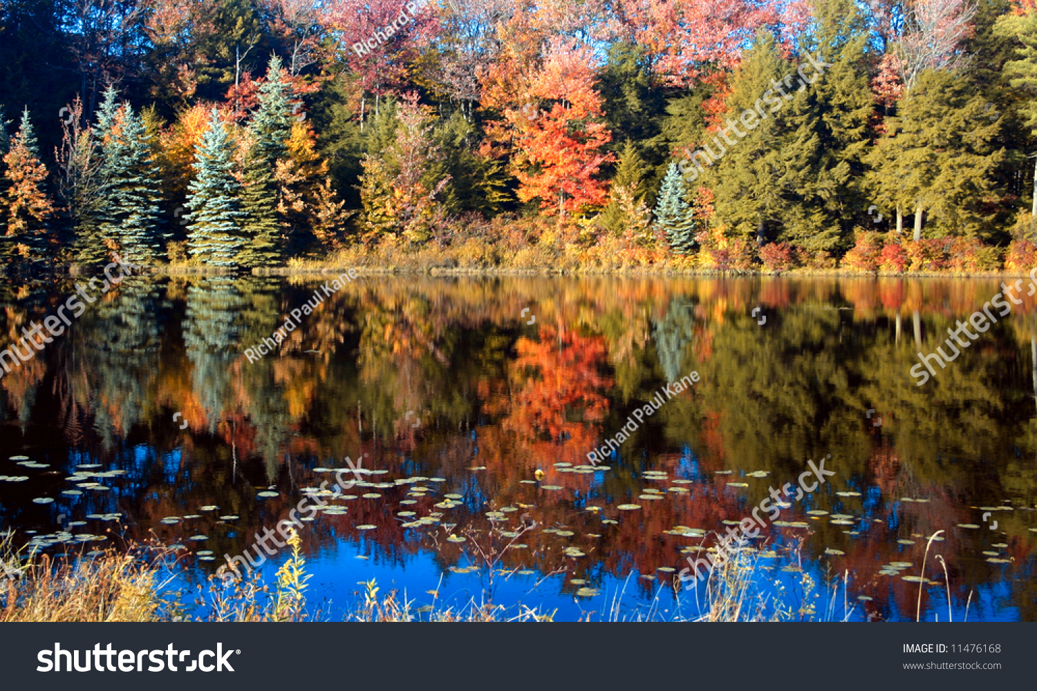 Fall Scene On A Mountain Lake, Scranton, Pa. Stock Photo 11476168 ...