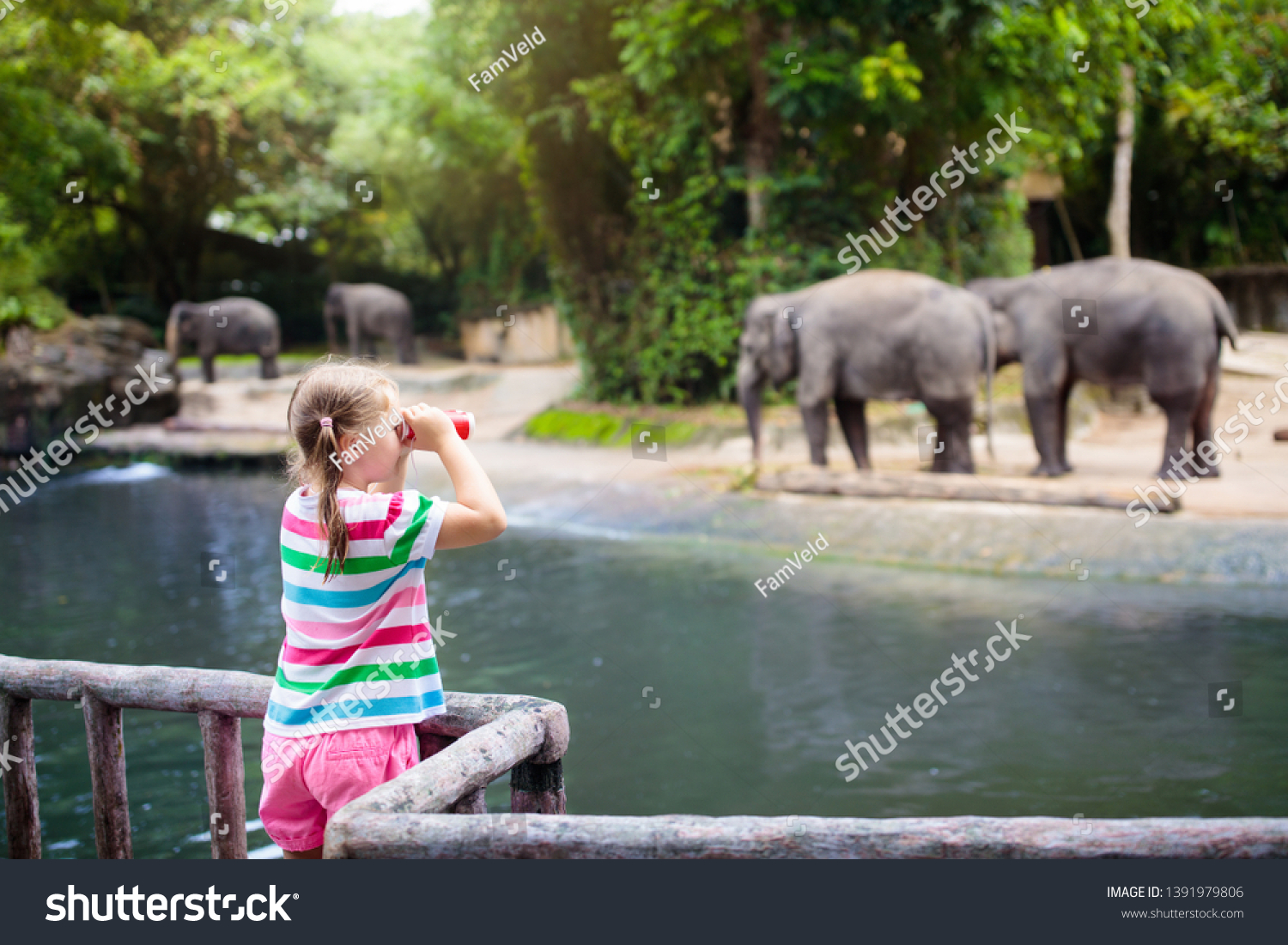 Family Feeding Elephant Zoo Children Feed Stock Photo (Edit Now) 1391979806