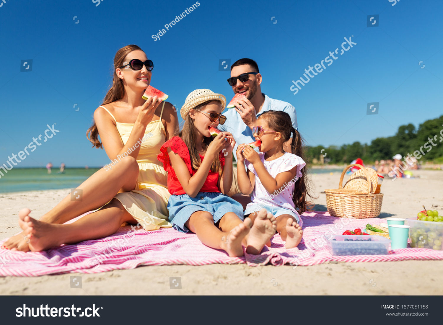 essay picnic with family at the beach