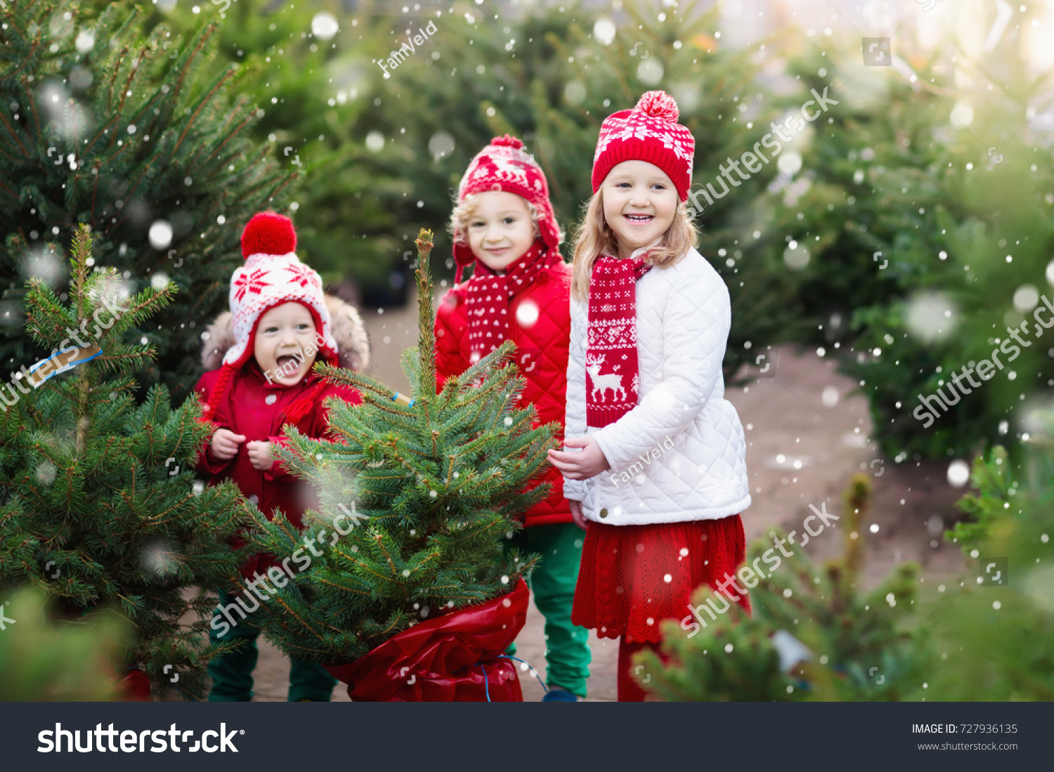 Family Selecting Christmas Tree Kids Choosing Stock Photo 727936135 ...