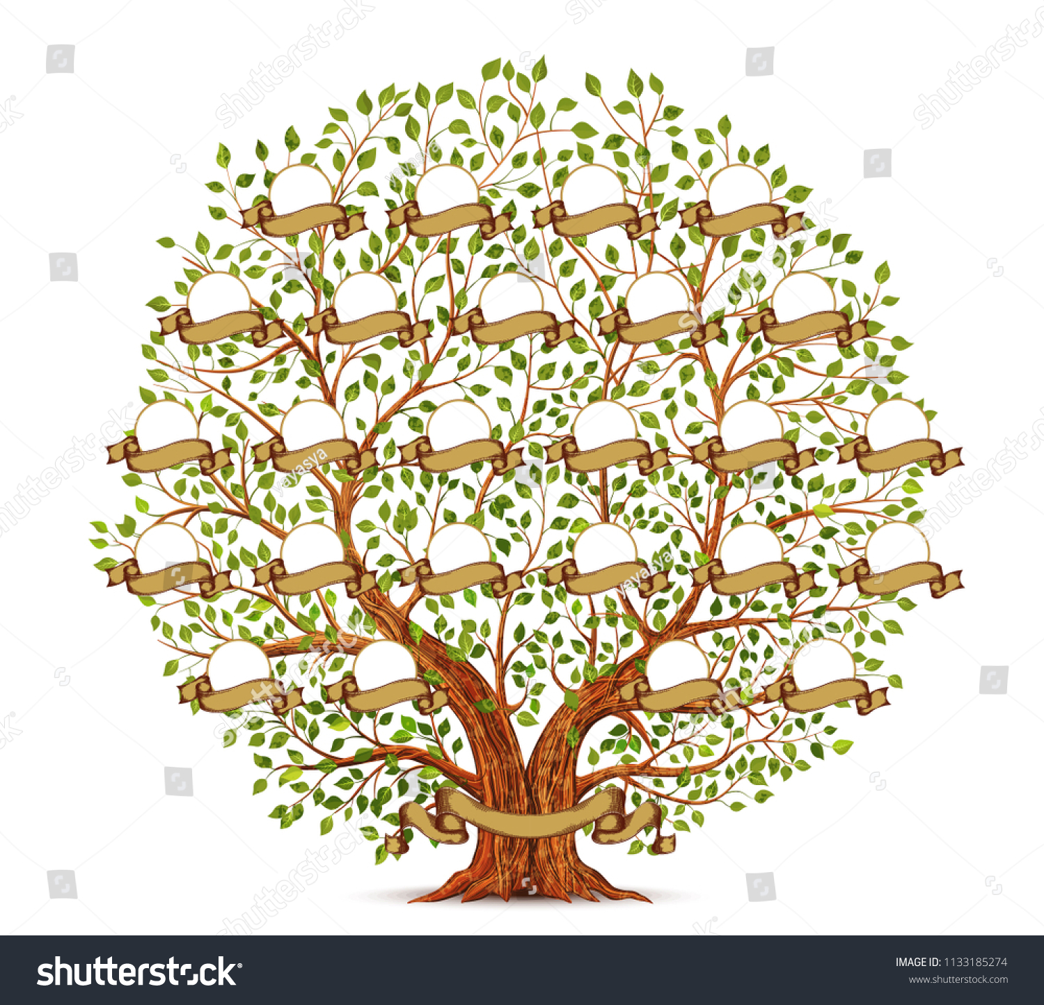 Family Tree Template Vintage Illustration Stock Illustration 1133185274 ...