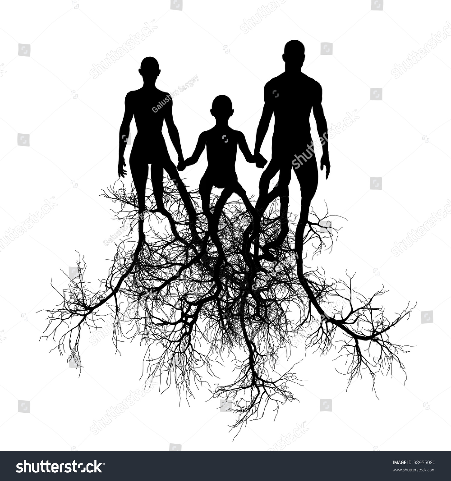 Family Tree Roots Isolated On White Stock Illustration 98955080 ...