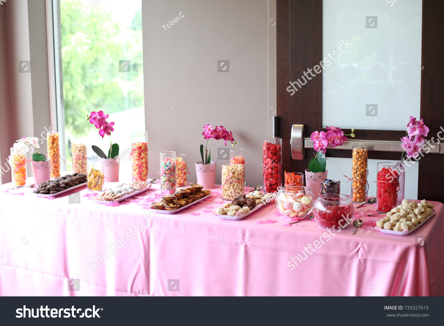 Fancy Dessert Table Restaurant Catering Baby Stock Photo Edit Now 733327615