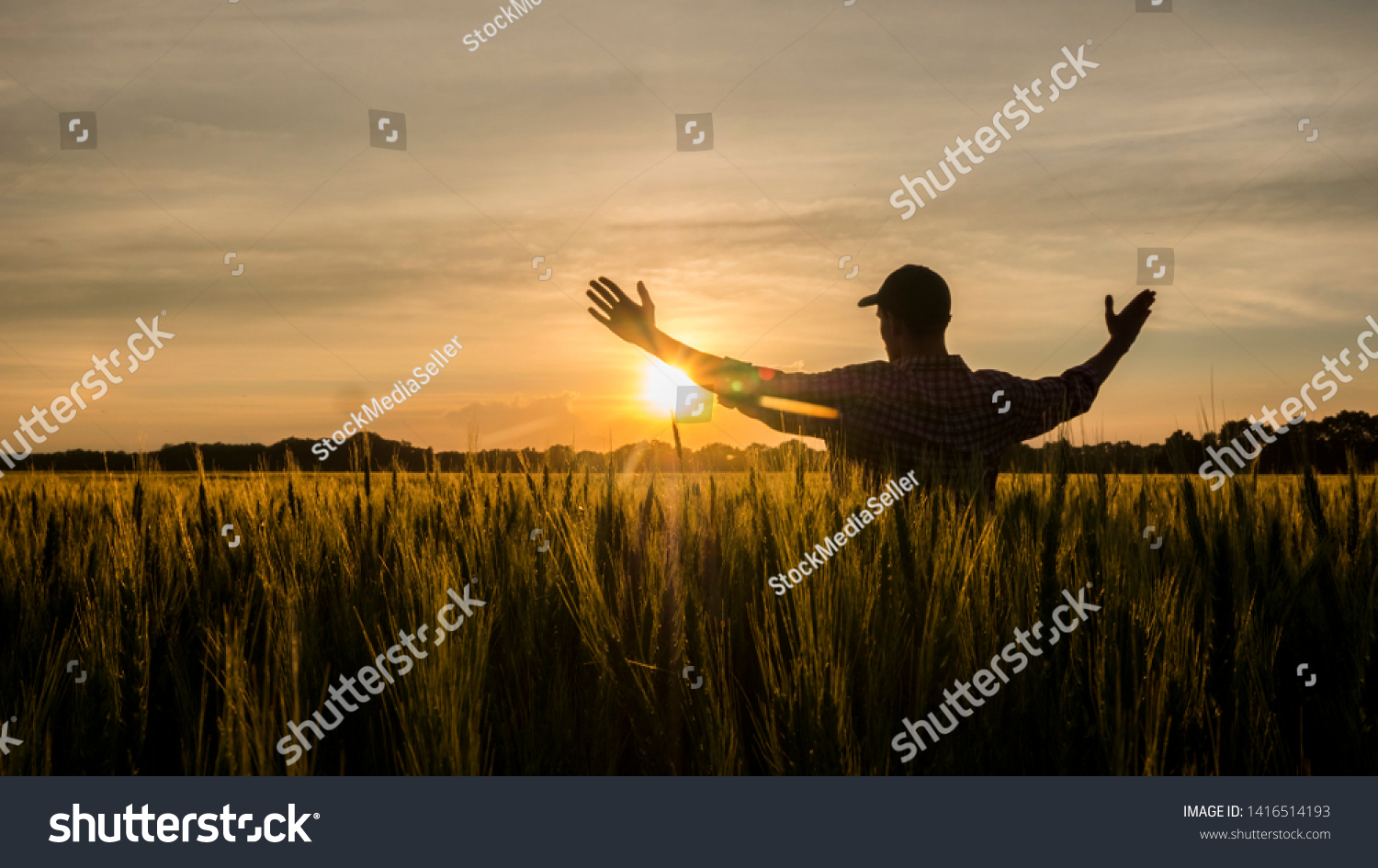 Farmer Admires His Wheat Field Raised Stock Photo 1416514193 | Shutterstock