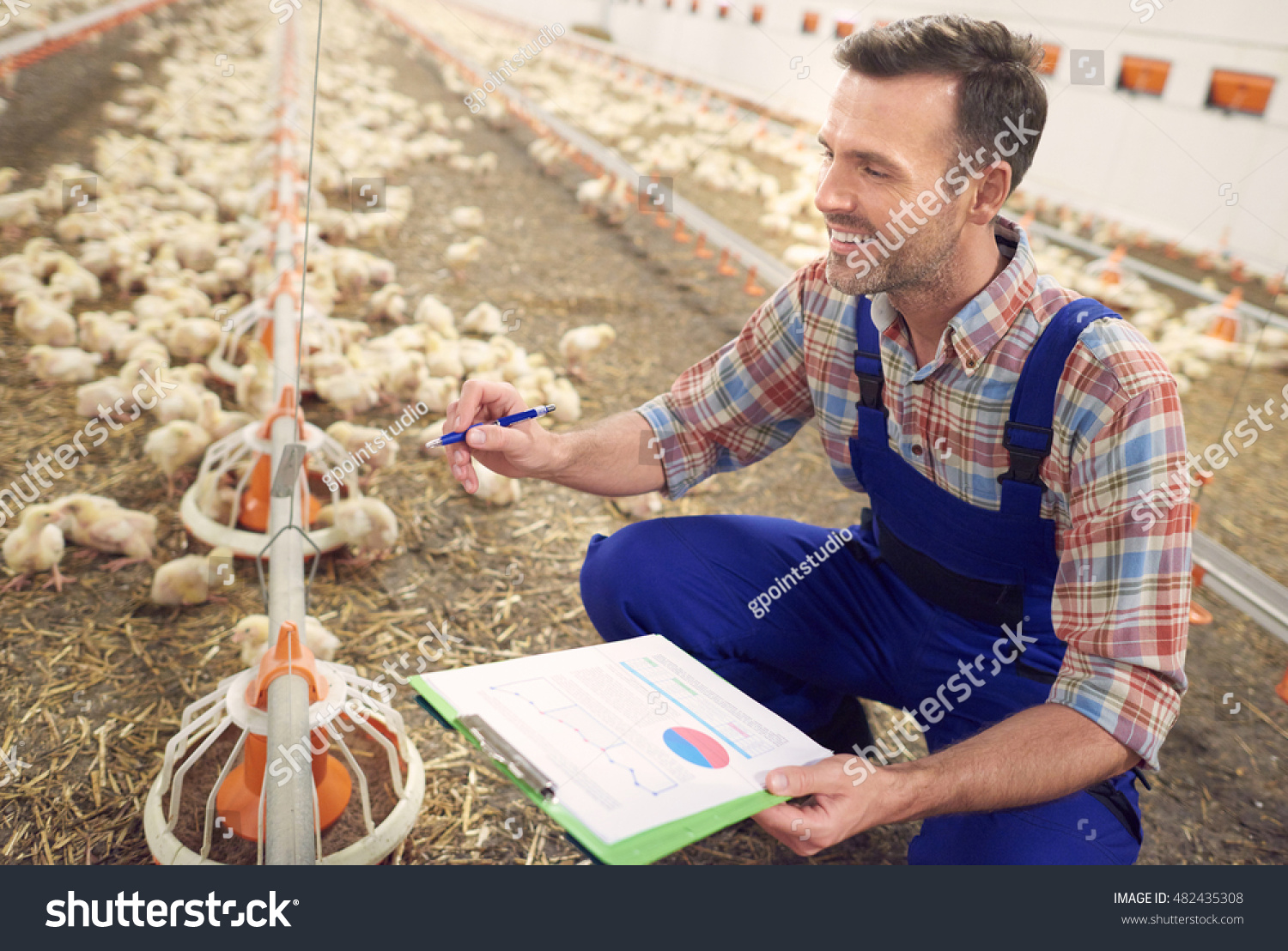 42,070 Chicken farmer Images, Stock Photos & Vectors Shutterstock