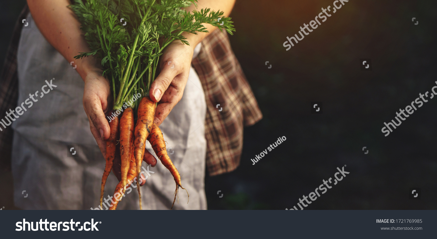 525,860 Harvesting hands Images, Stock Photos & Vectors | Shutterstock