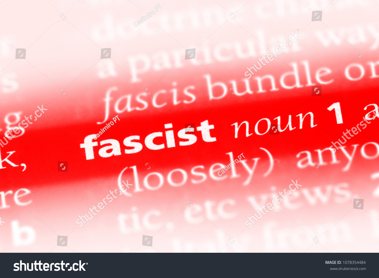 Fascist Word Dictionary Fascist Concept Stock Photo 1078354484