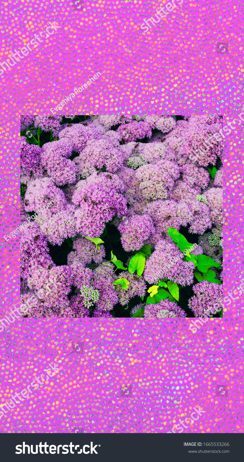Fashion Aesthetic Wallpaper Phone Violet Flowers Nature Stock Image 1665533266