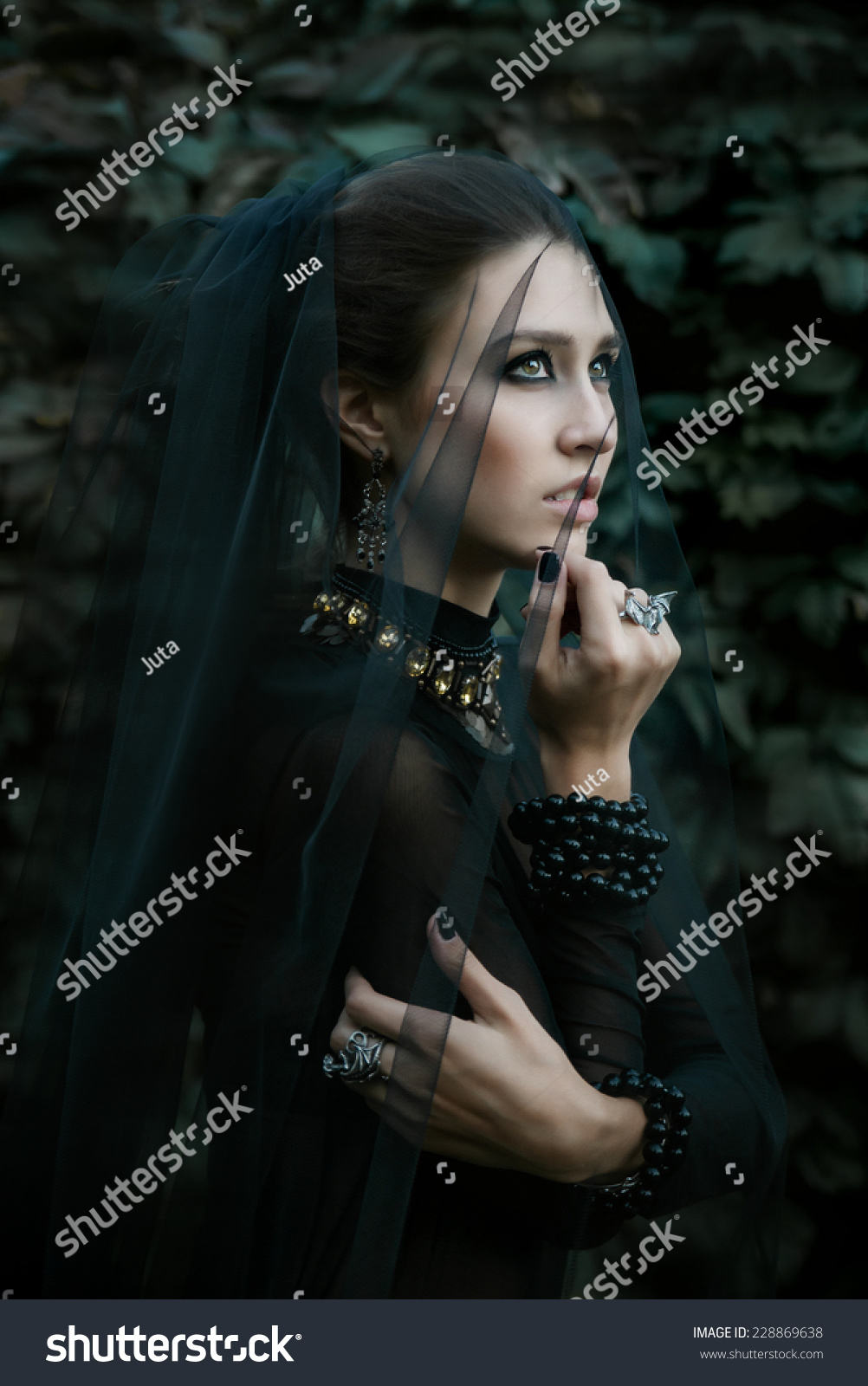 Fashion Model Dressed Gothic Dark Style Stock Photo 228869638 ...