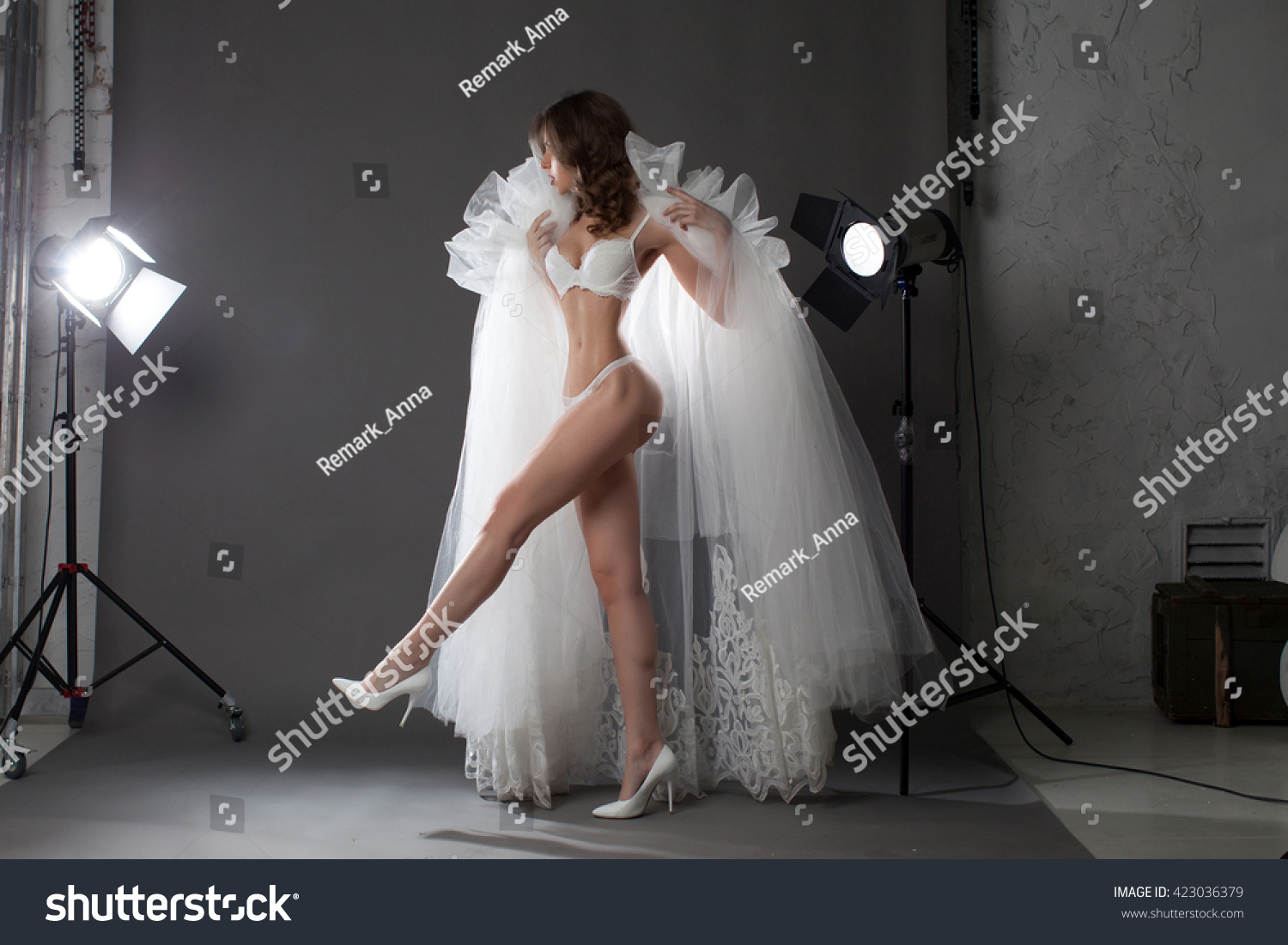 Fashion Photo Sexy Woman Image Same Royalty Free Stock Image