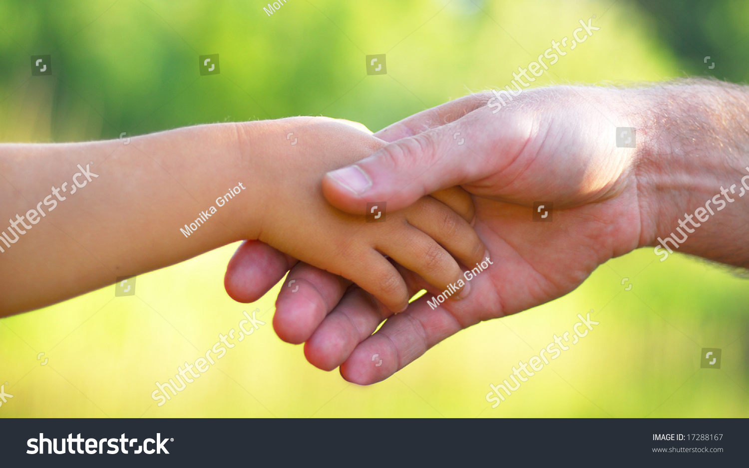 Father Daughter Holding Hands Stock Photo 17288167 - Shutterstock