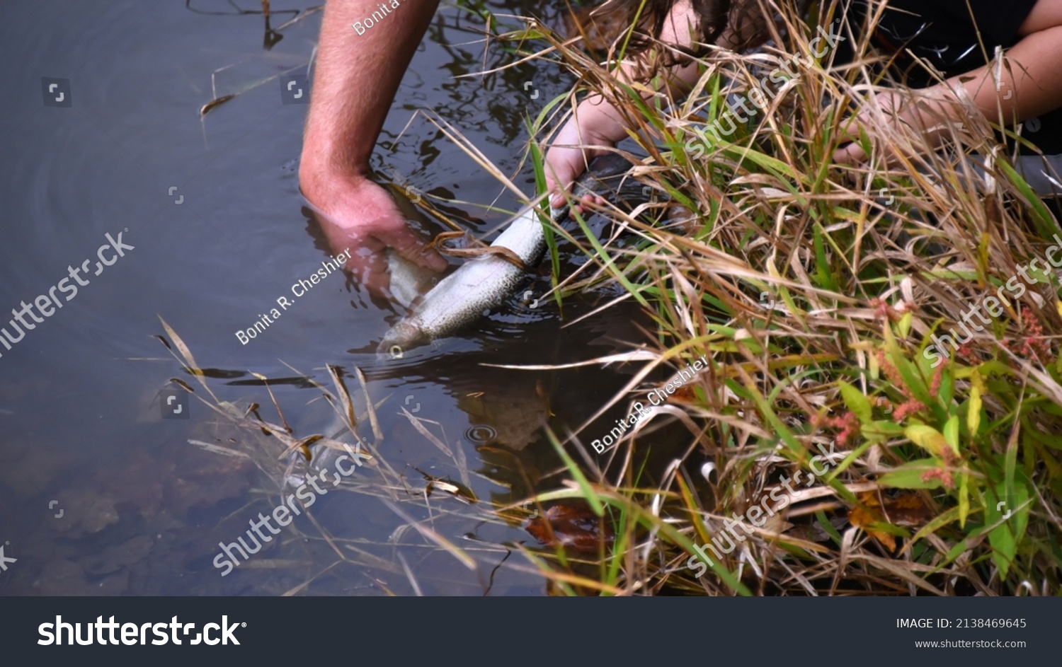 84 Released after catching Images, Stock Photos & Vectors | Shutterstock