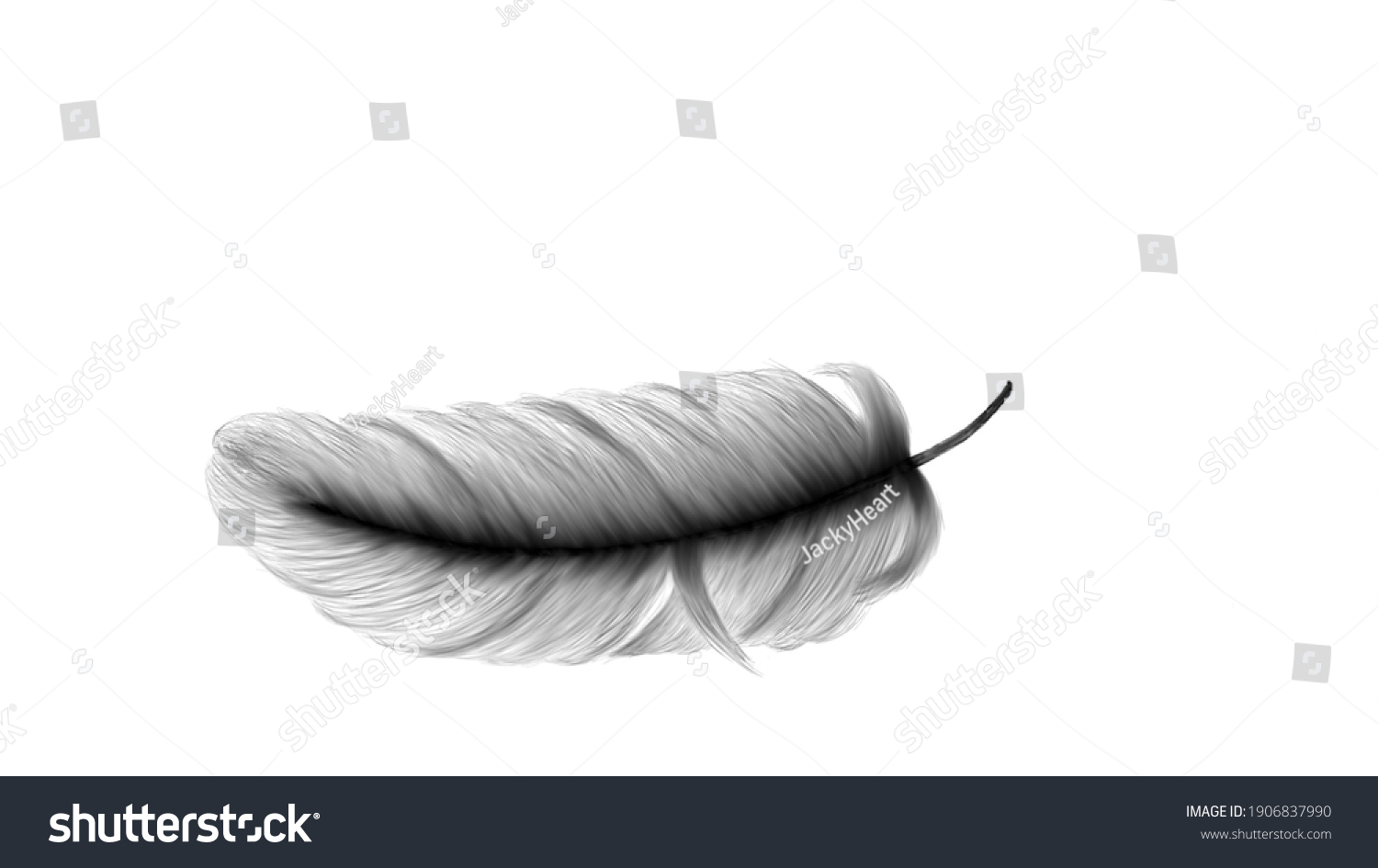 Birdfeathers Images, Stock Photos & Vectors 