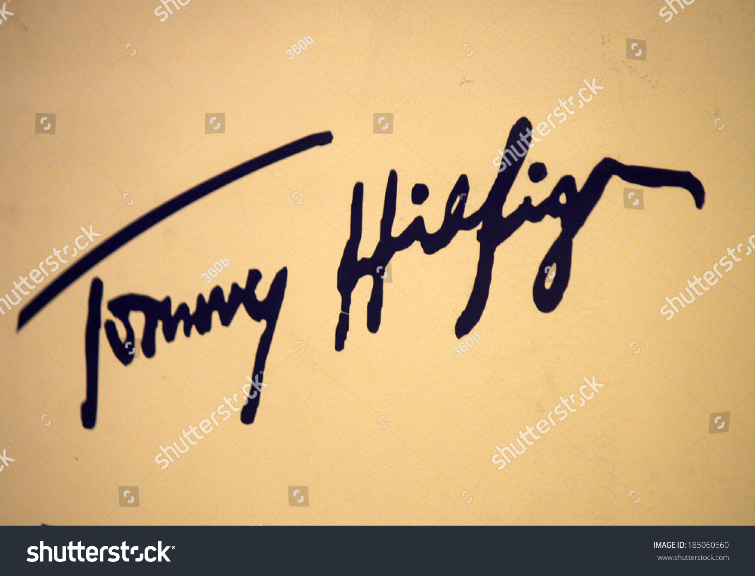 tommy hilfiger signature logo vector
