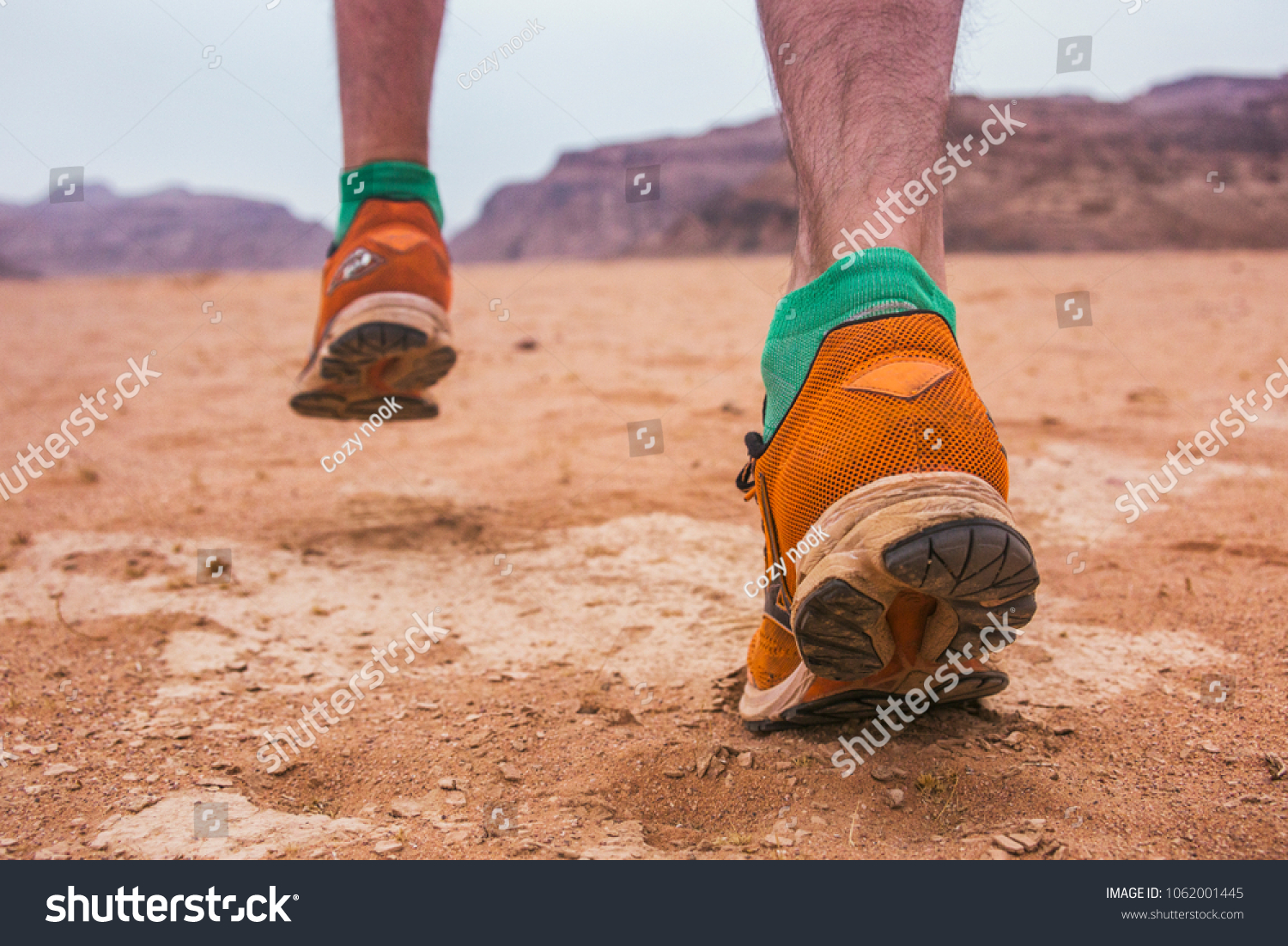 desert ram shoes