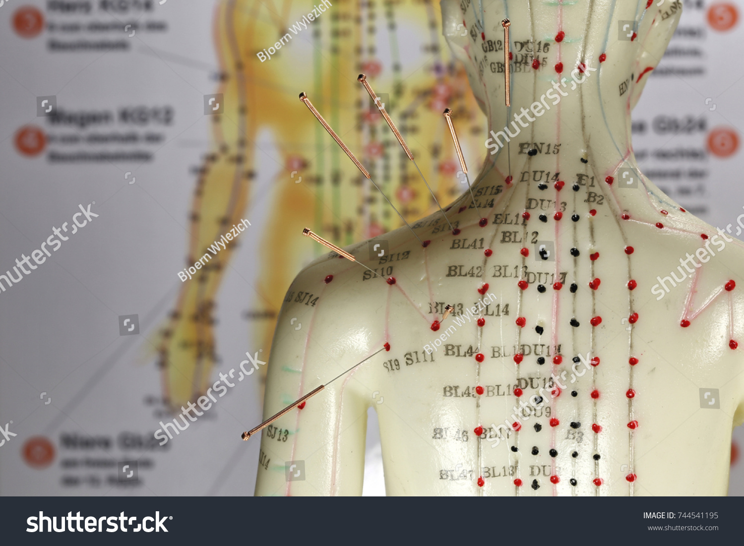 Acupuncture Model Images, Stock Photos & Vectors | Shutterstock