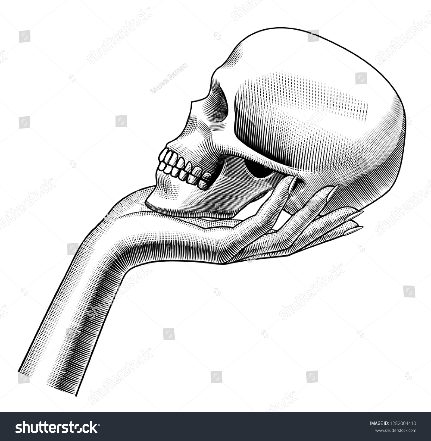 Female Hand Holding Human Skull Halfface Stock Illustration