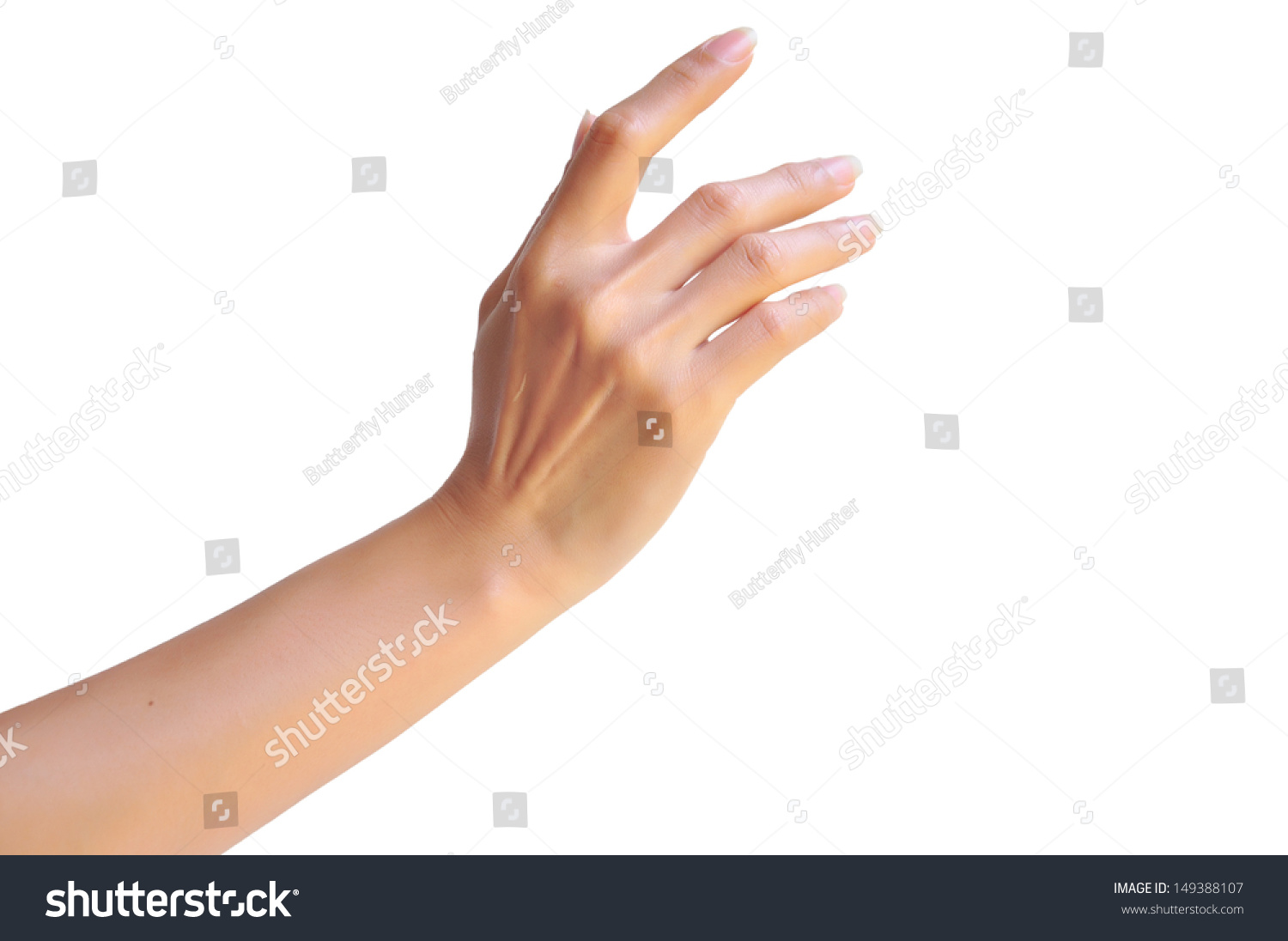 Female Hand Isolated On White Stock Photo 149388107 | Shutterstock