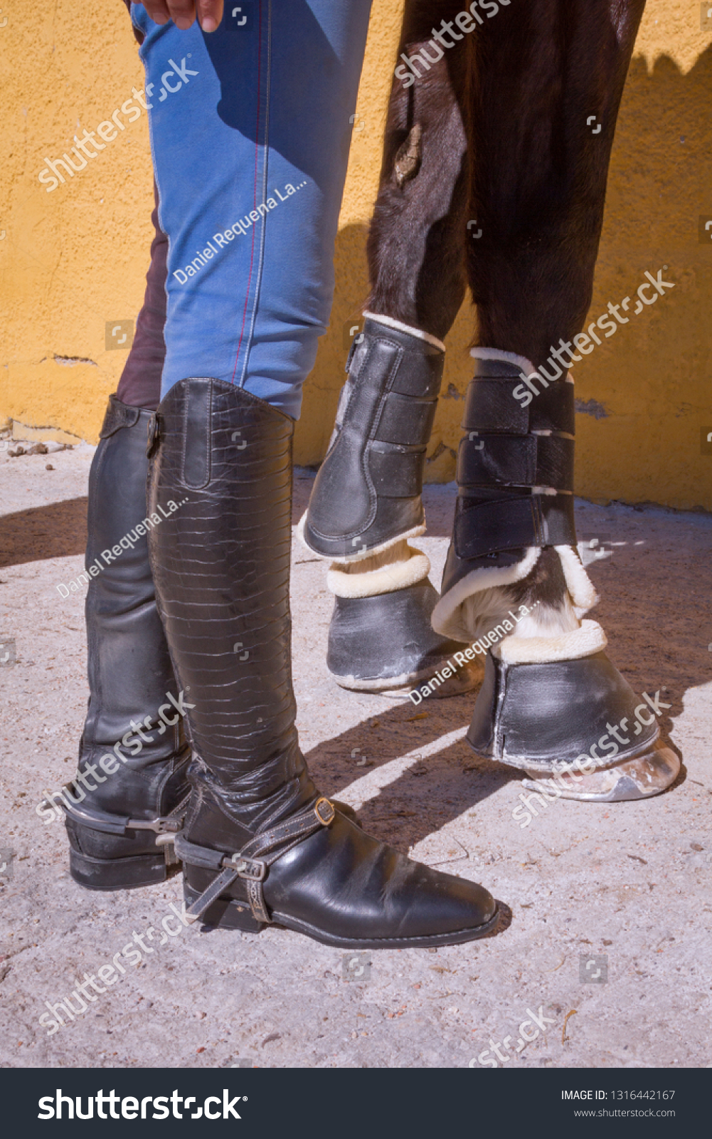 female riding boots