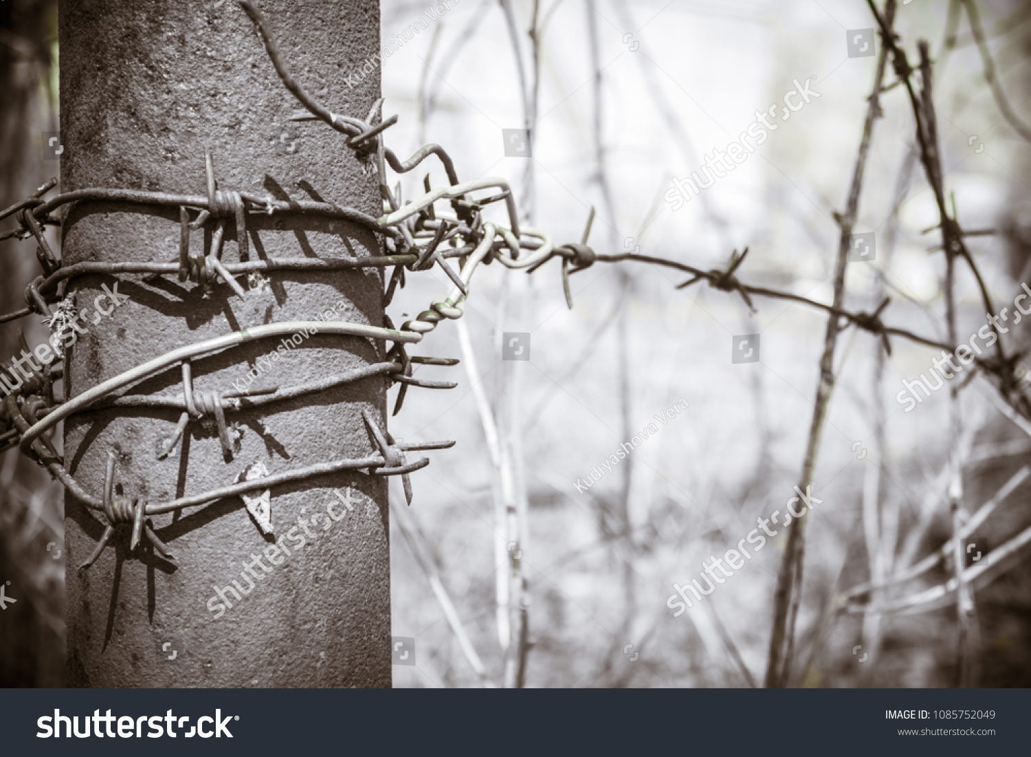 barbed wire bondage