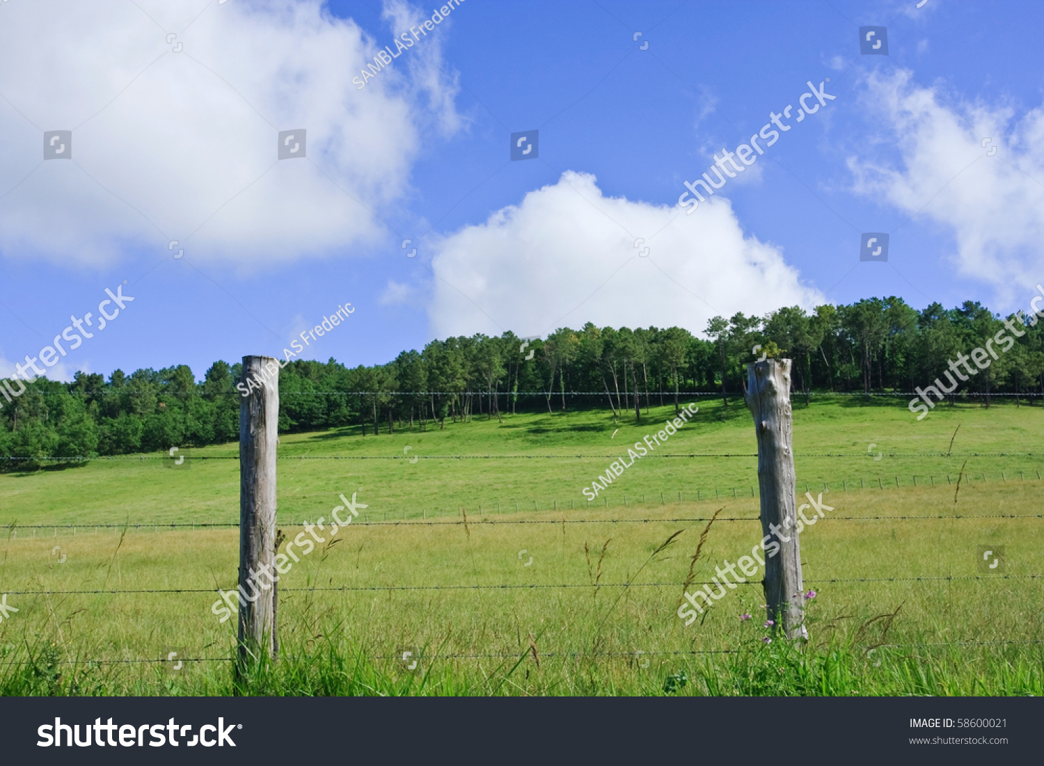 Fenced Field Stock Photo 58600021 : Shutterstock