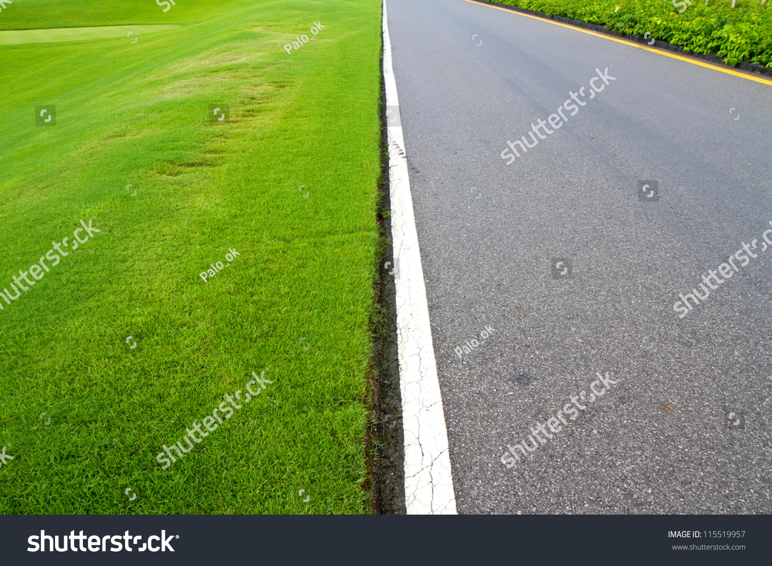 Field Of Grass With Asphalt Road Stock Photo 115519957 : Shutterstock