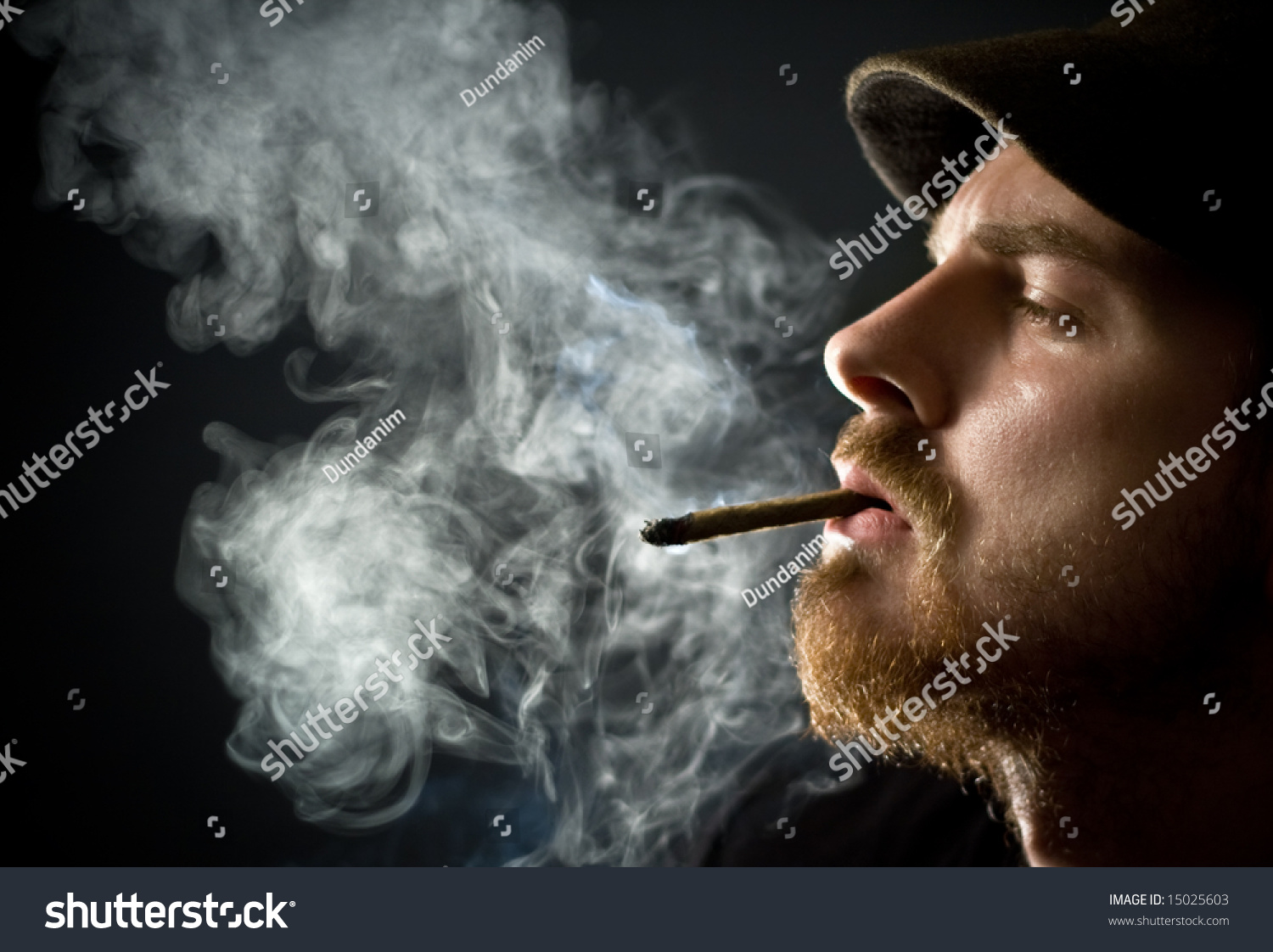 Fine Art Portrait Of Masculine Guy Smoking A Cigar Stock Photo 15025603 ...