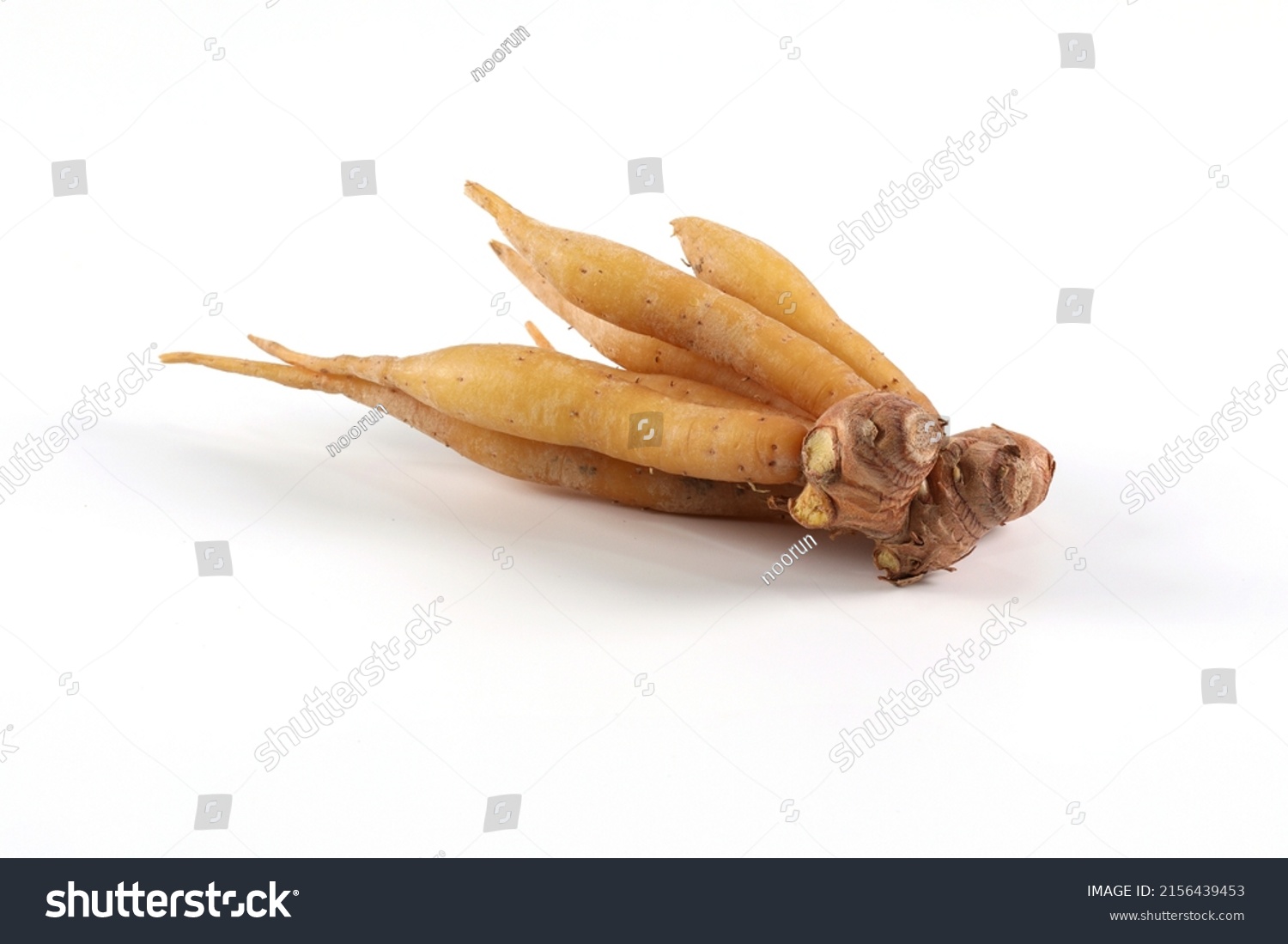 Finger Roots Kaempferia Krachai Isolated On Stock Photo 2156439453