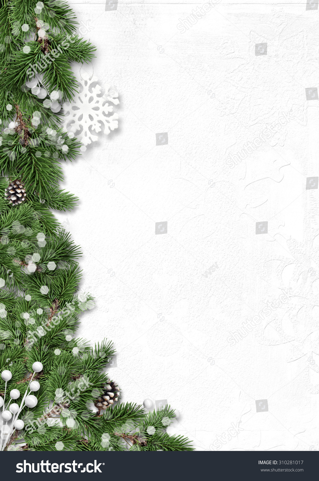 Fir Tree Winter Border Isolated On White Background Stock Photo ...