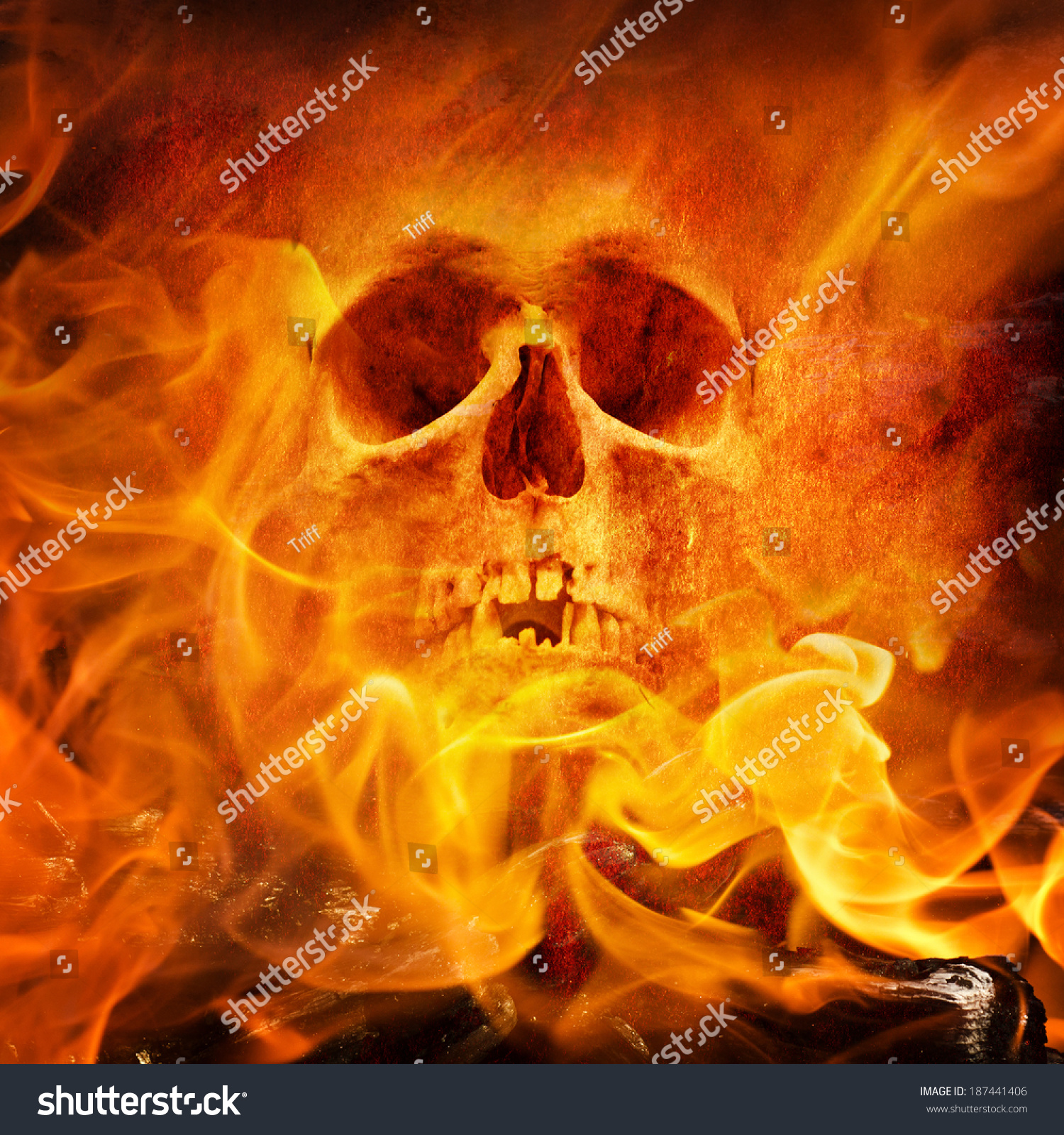 Fire Skull Stock Photo 187441406 - Shutterstock