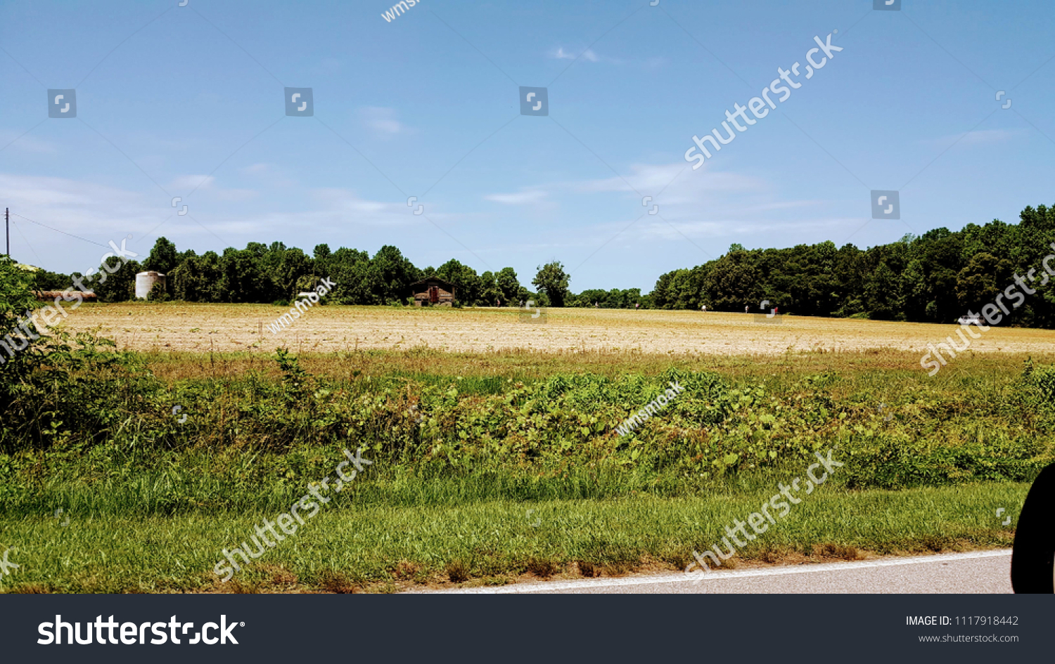 Firepit Fire Pit Farm Farming Tobacco Stock Photo Edit Now