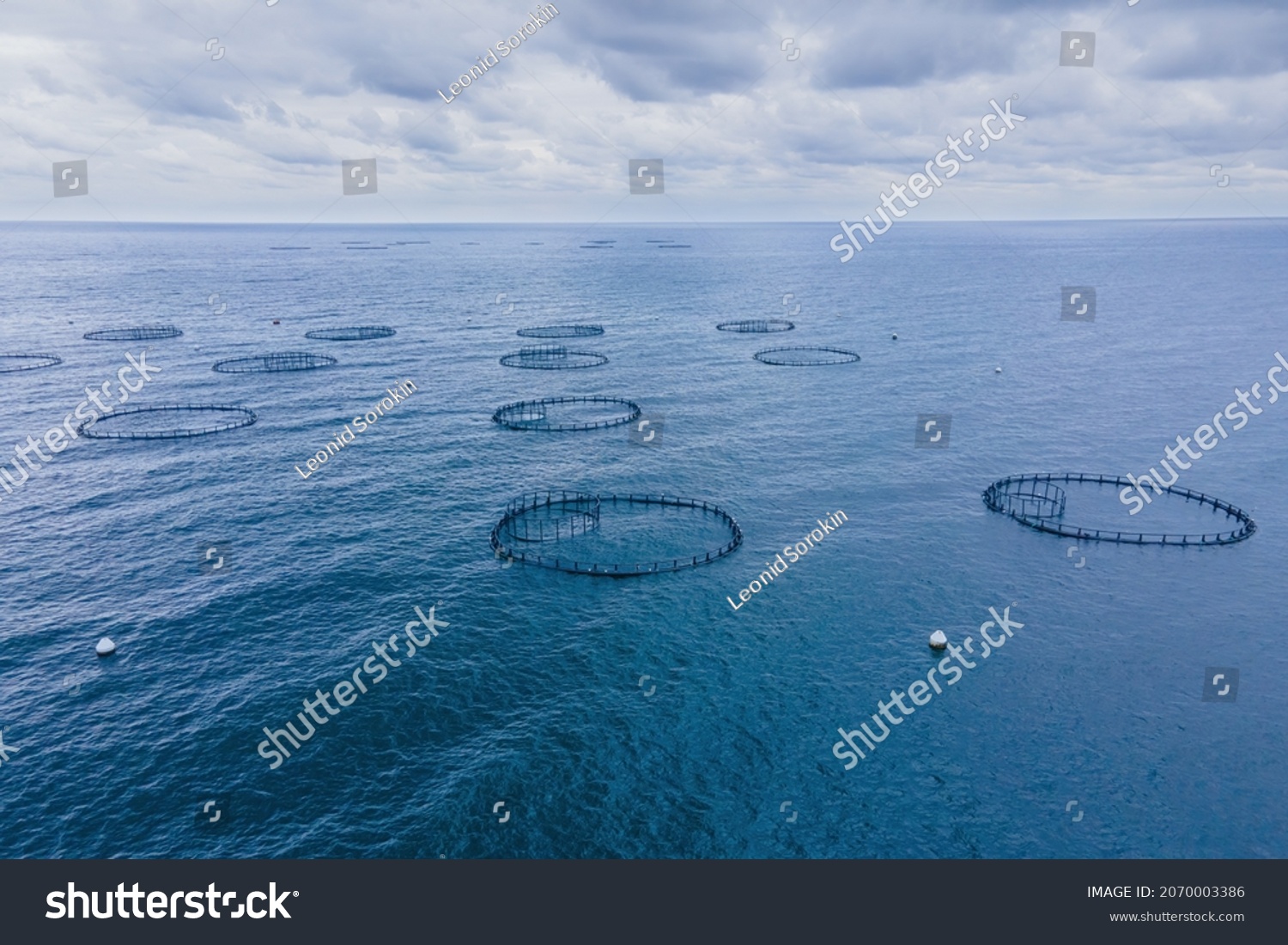 14,175 Sea cage Images, Stock Photos & Vectors | Shutterstock