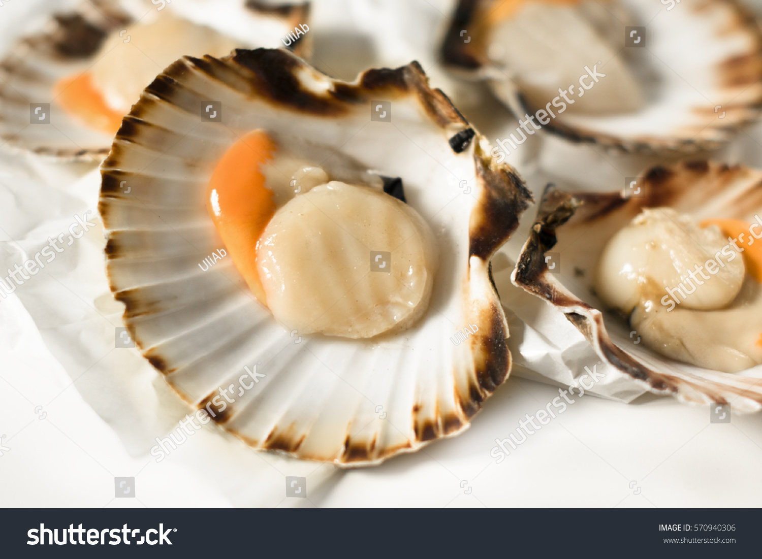 Platesk Images, Stock Photos & Vectors | Shutterstock