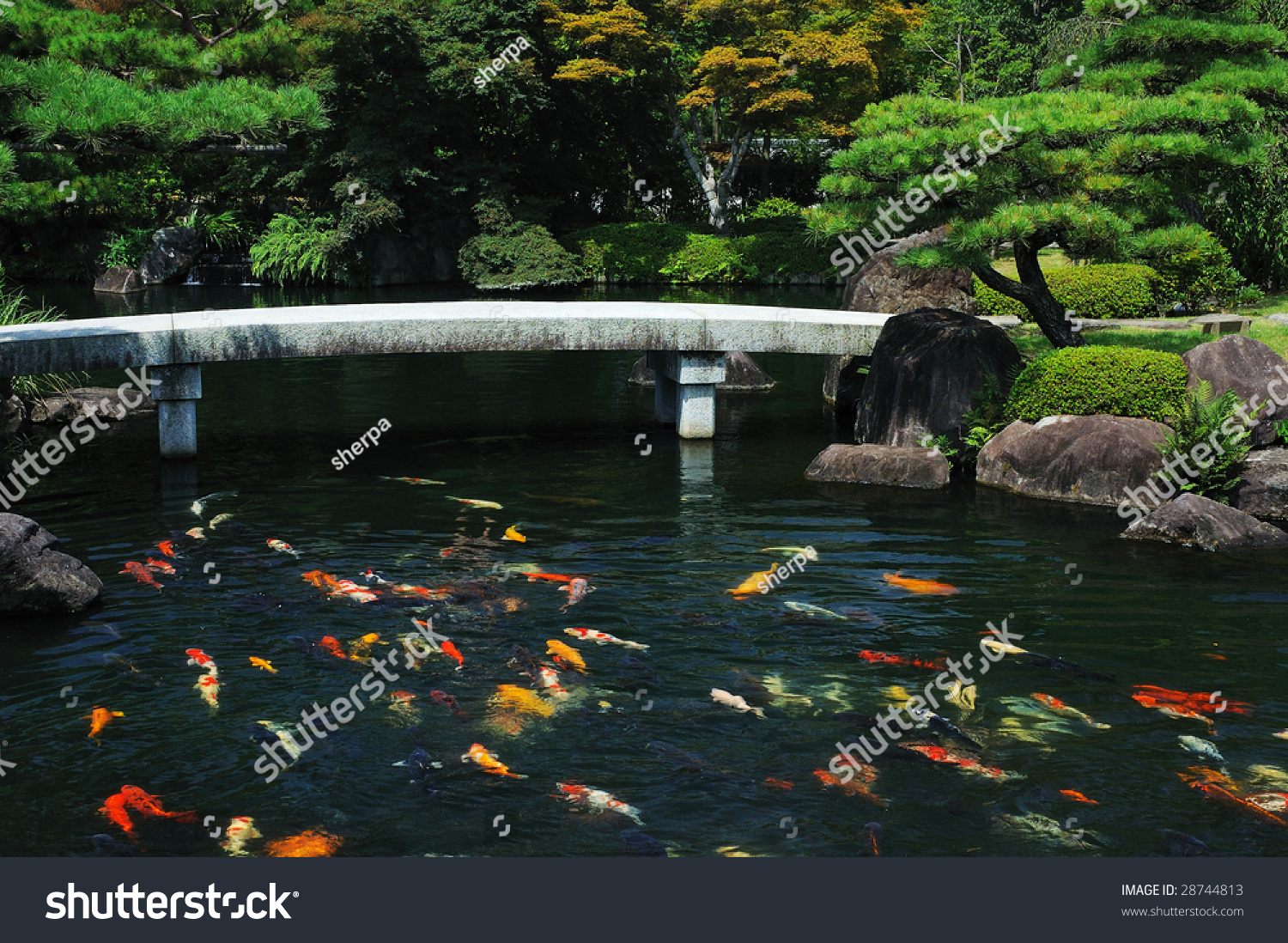 Japanese Fish Pond - Best Decorations