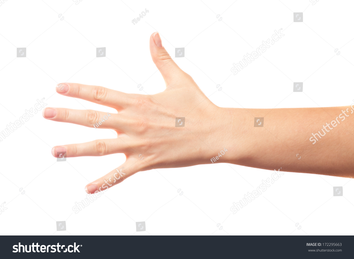 Five Fingers On White Background Stock Photo 172295663 : Shutterstock