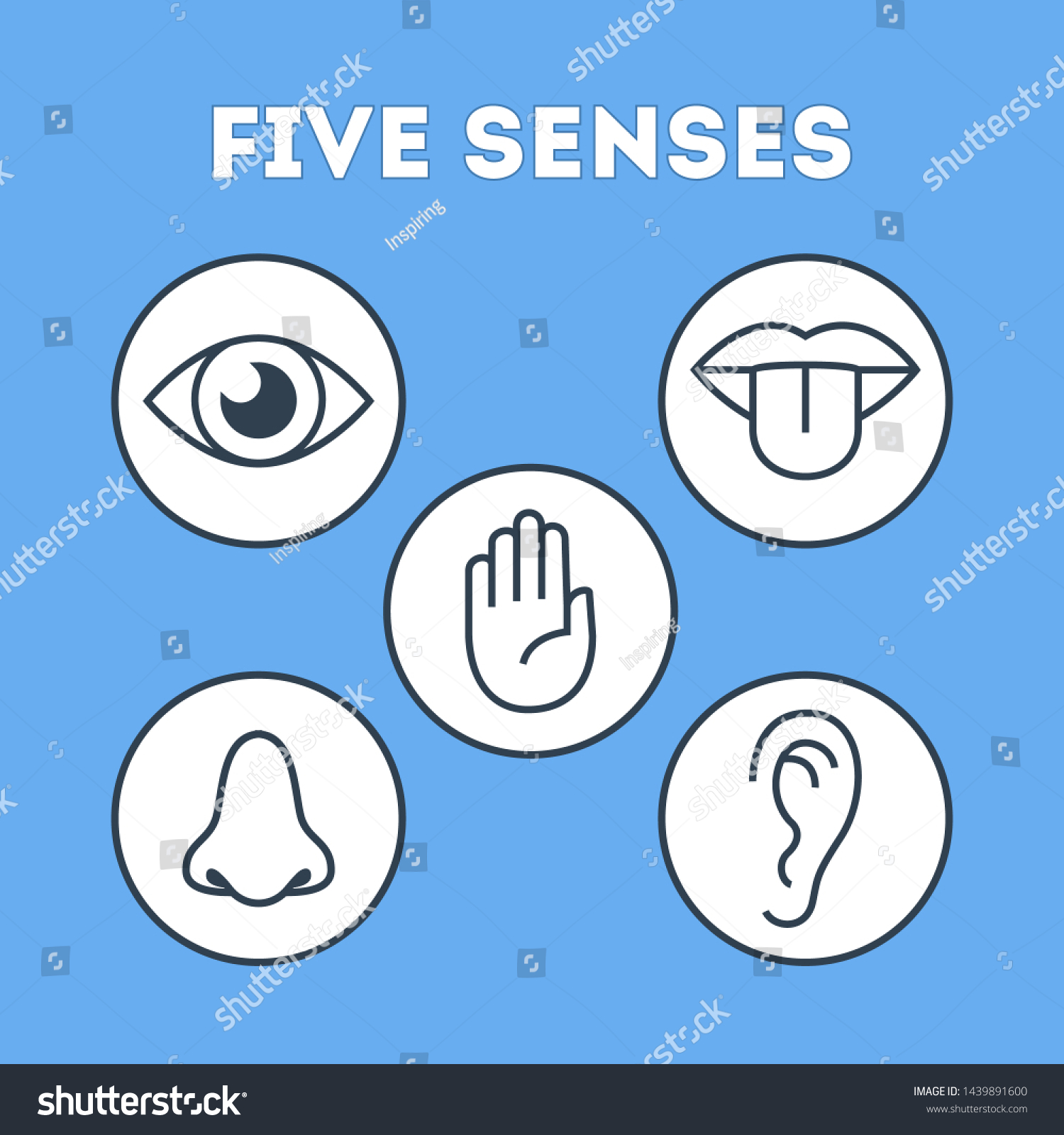 Five Types Human Sense Vision Through Stock Illustration 1439891600