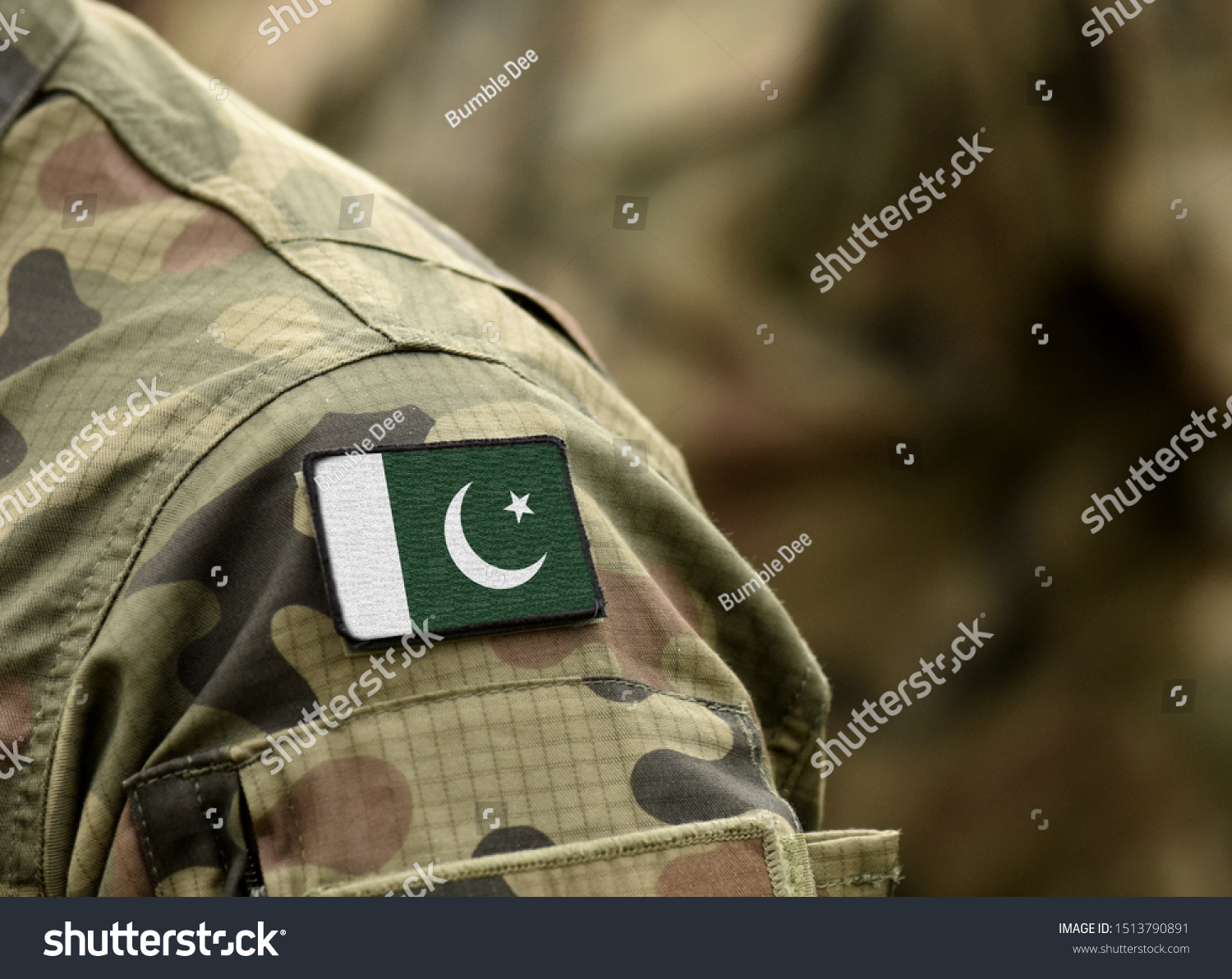 1,969 Army pakistan flag Images, Stock Photos & Vectors | Shutterstock