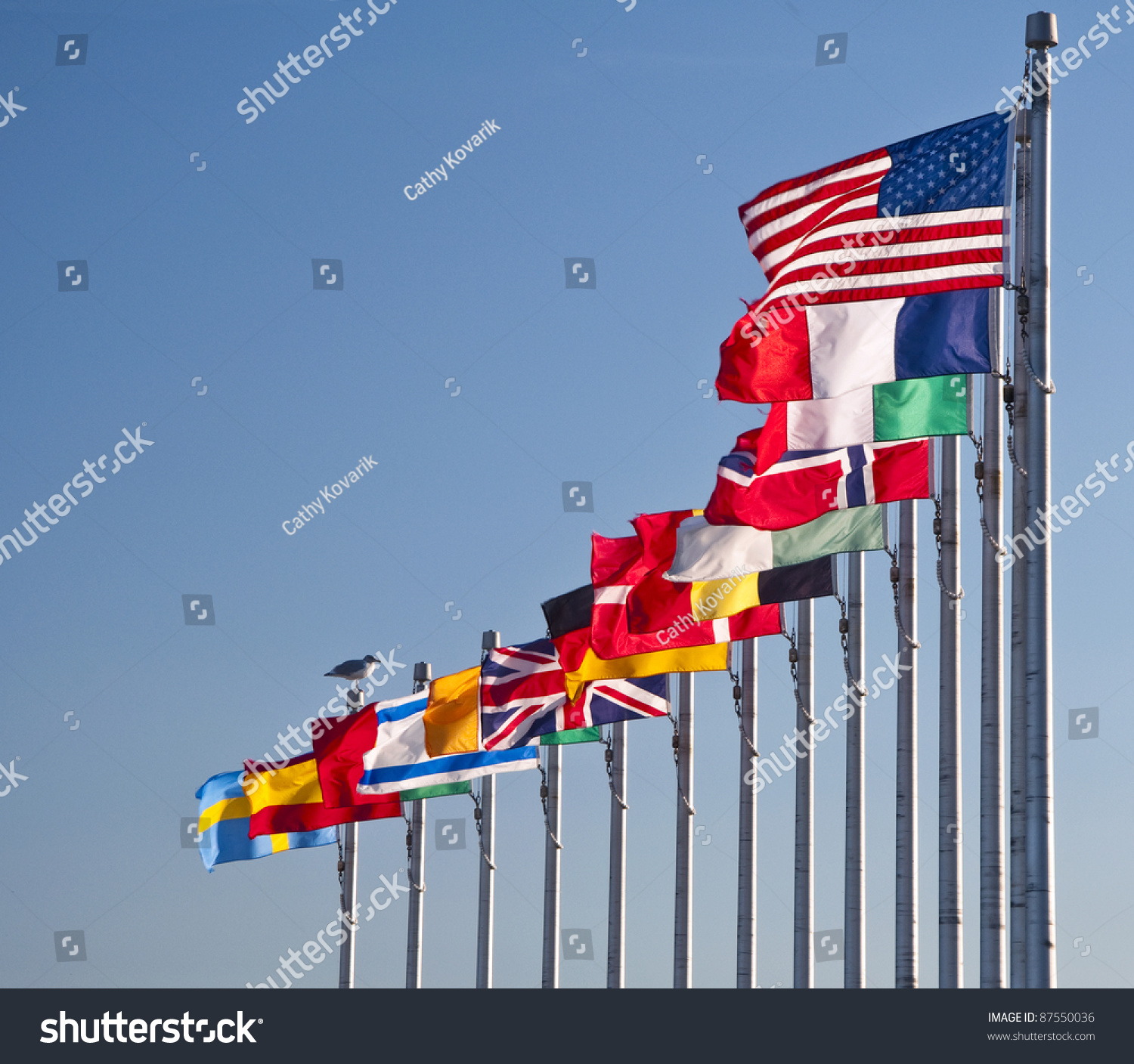 Flags Many Nations Stock Photo 87550036 - Shutterstock