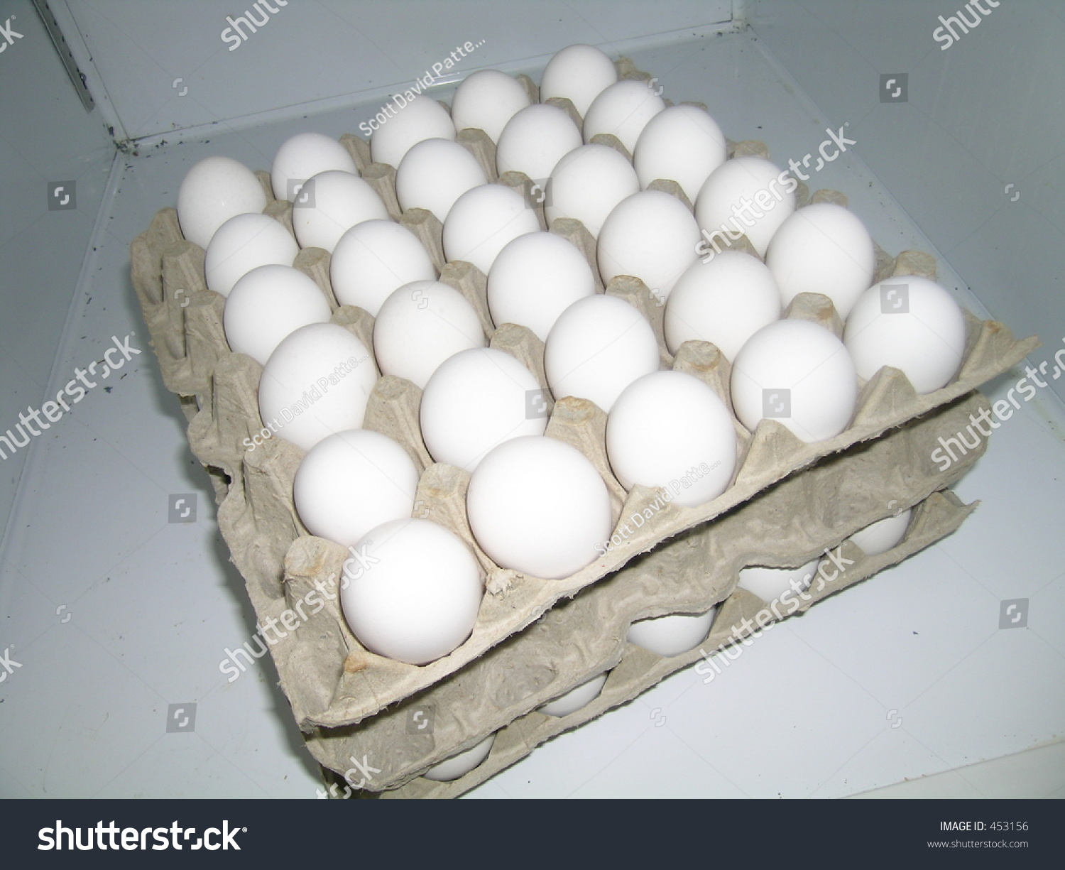 stock-photo-flat-of-eggs-per-layer-453156.jpg