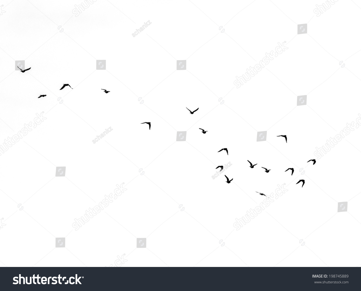 Flock Of Birds On A White Background Stock Photo 198745889 : Shutterstock