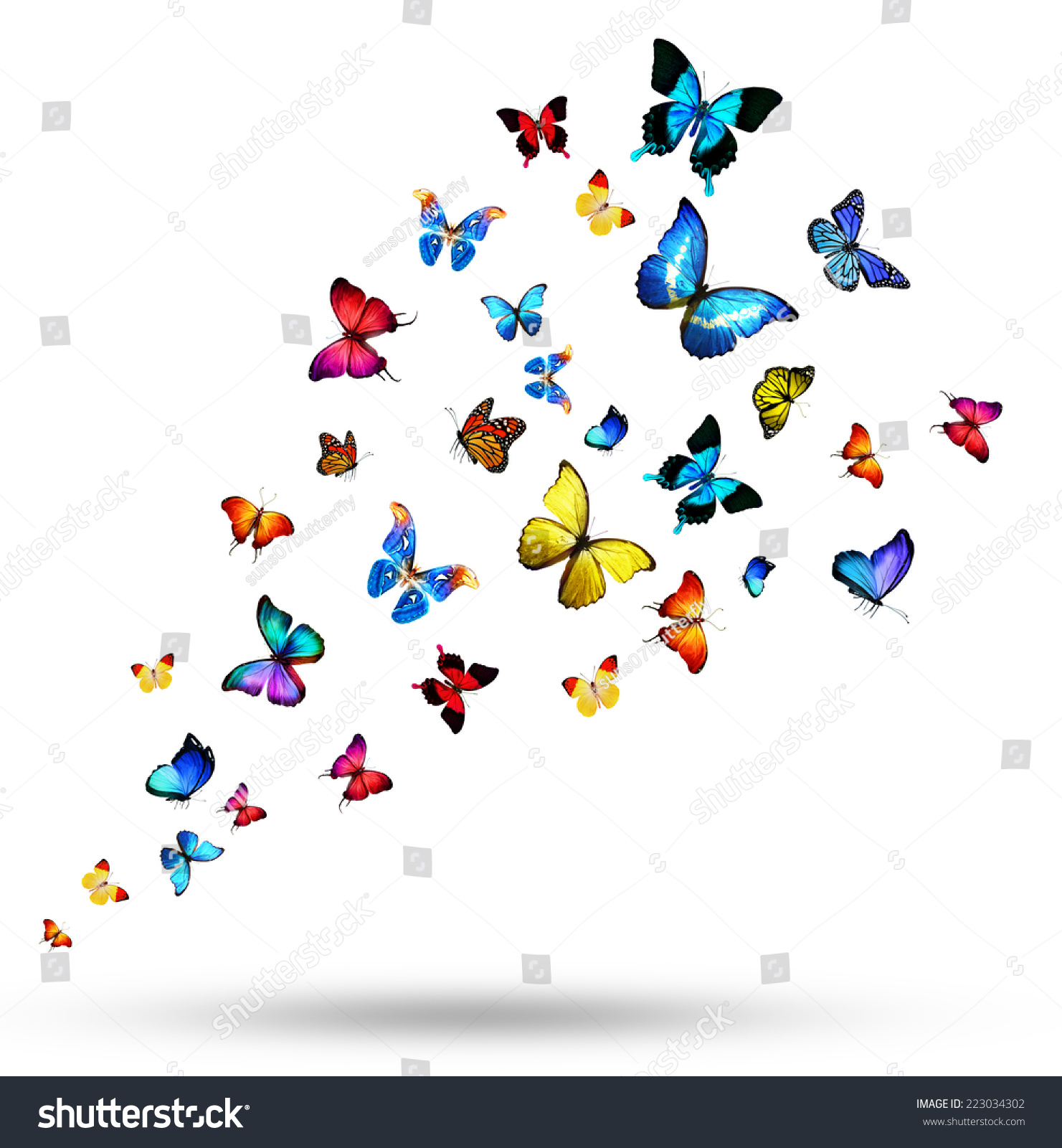 Flock Of Butterflies Stock Photo 223034302 : Shutterstock