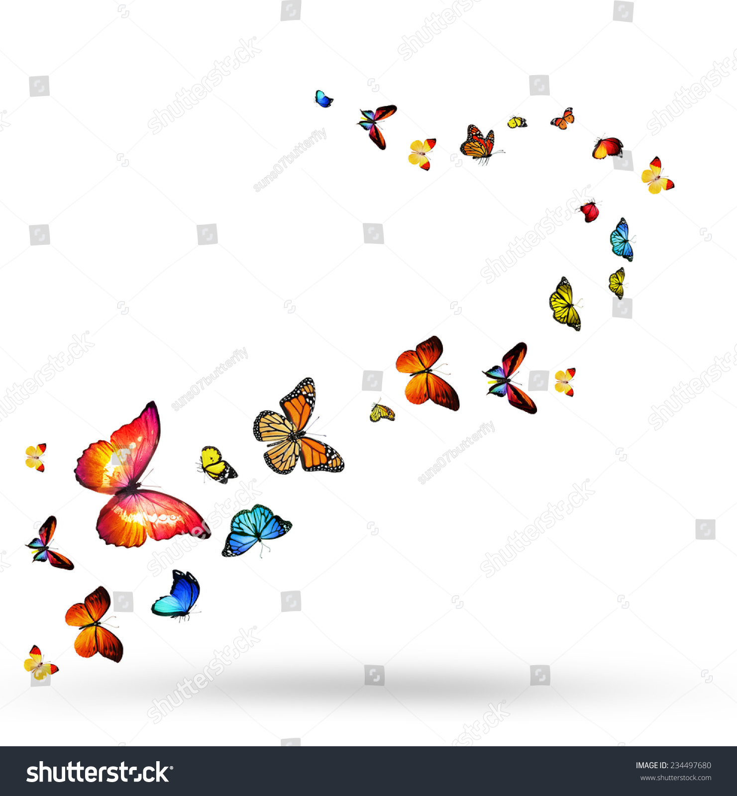 Flock Of Butterflies Stock Photo 234497680 : Shutterstock