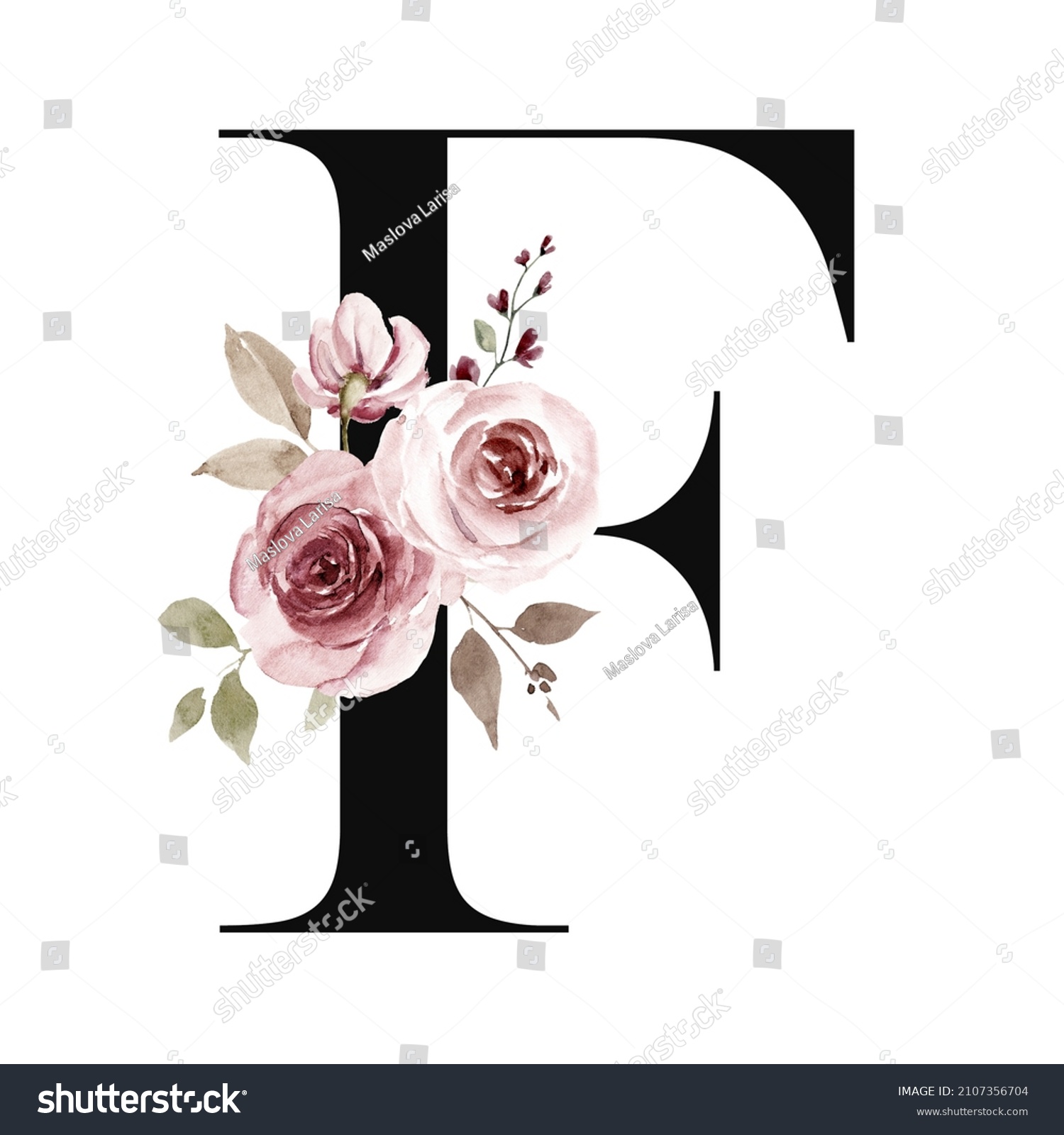 Floral Alphabet Letter F Watercolor Flowers Stock Illustration 2107356704