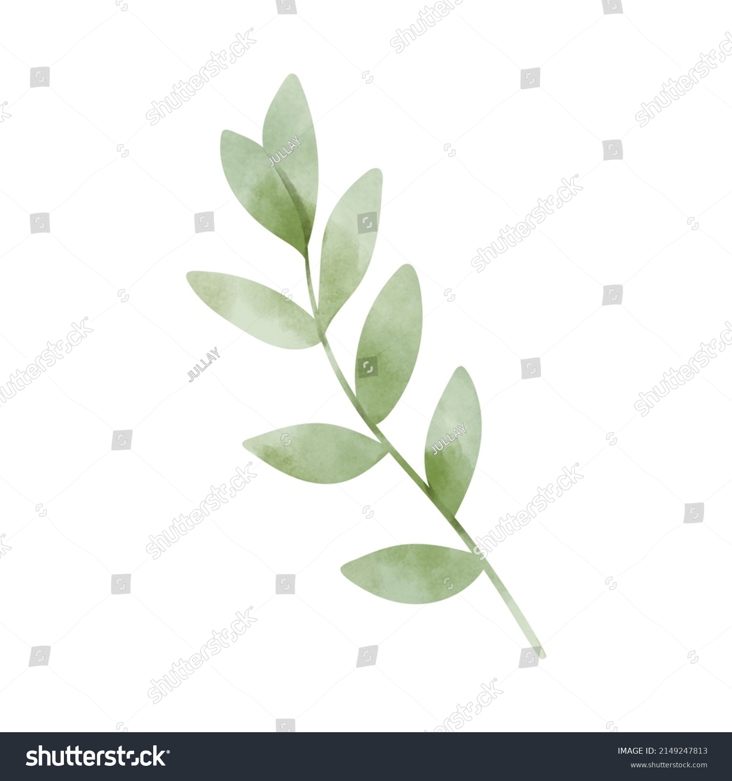 Floral Botanical Clipart Set Green Leaves Stock Illustration 2149247813 ...