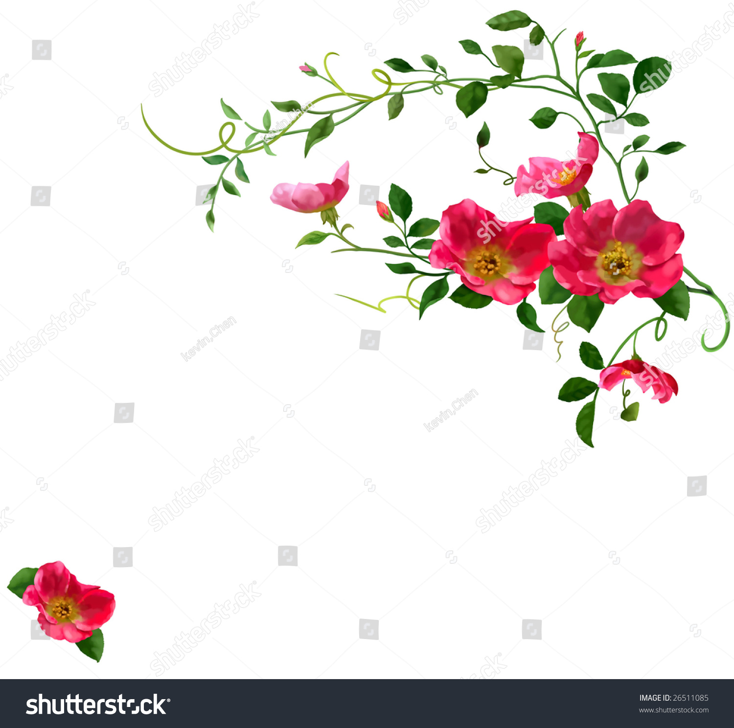 Floral Frame Stock Illustration 26511085 - Shutterstock