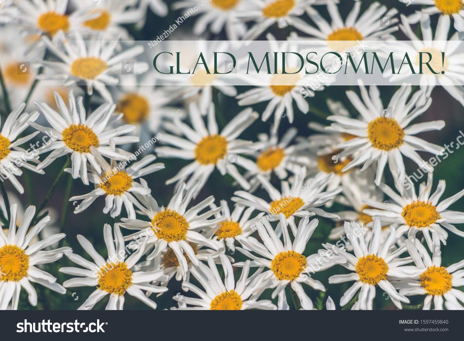 Floral Sunny Card Kort Happy Midsummer Stock Photo Edit Now 1597459840