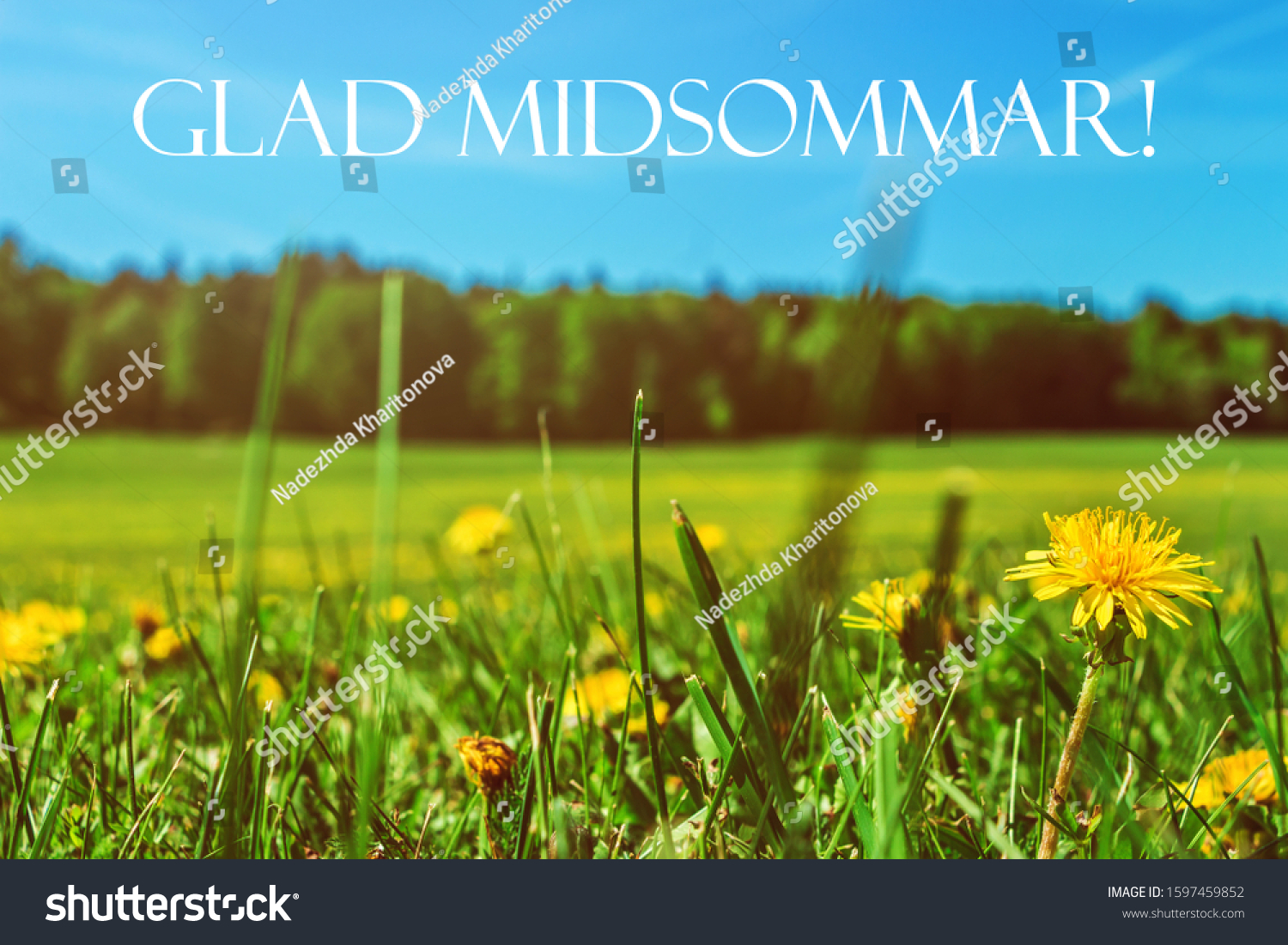 Floral Sunny Card Kort Happy Midsummer Stock Photo Edit Now 1597459852