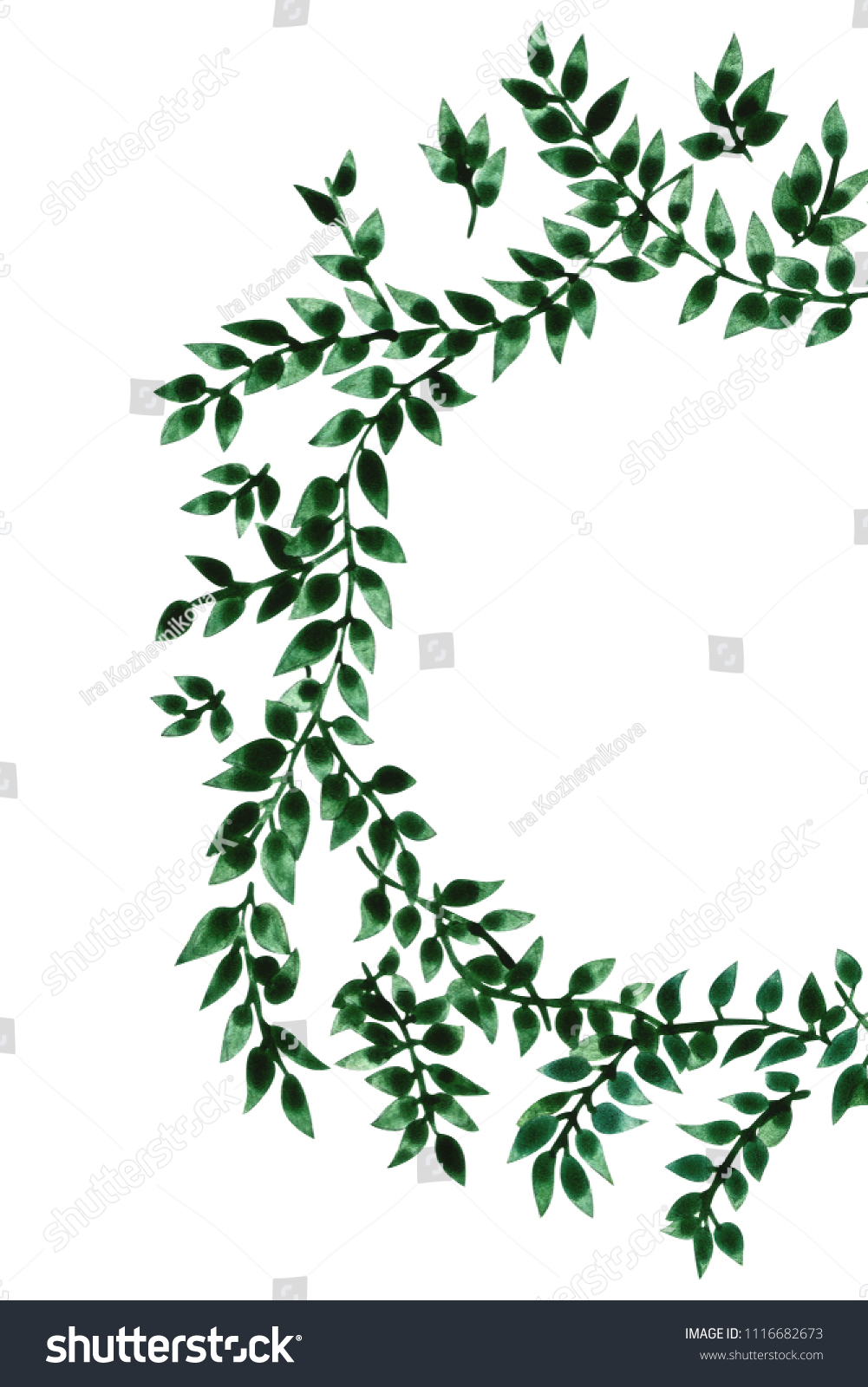 Floral Watercolor Frame Green Leaves Circle Stock Illustration Shutterstock