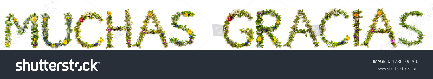 245 Gracias lettering Stock Photos, Images & Photography | Shutterstock